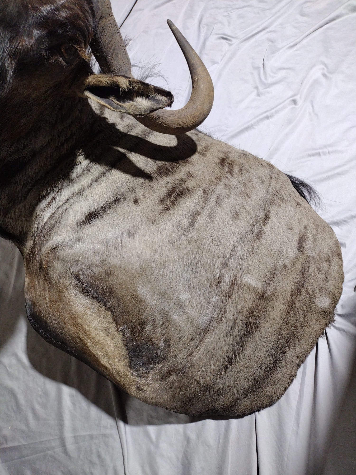 Online Bidding Only!