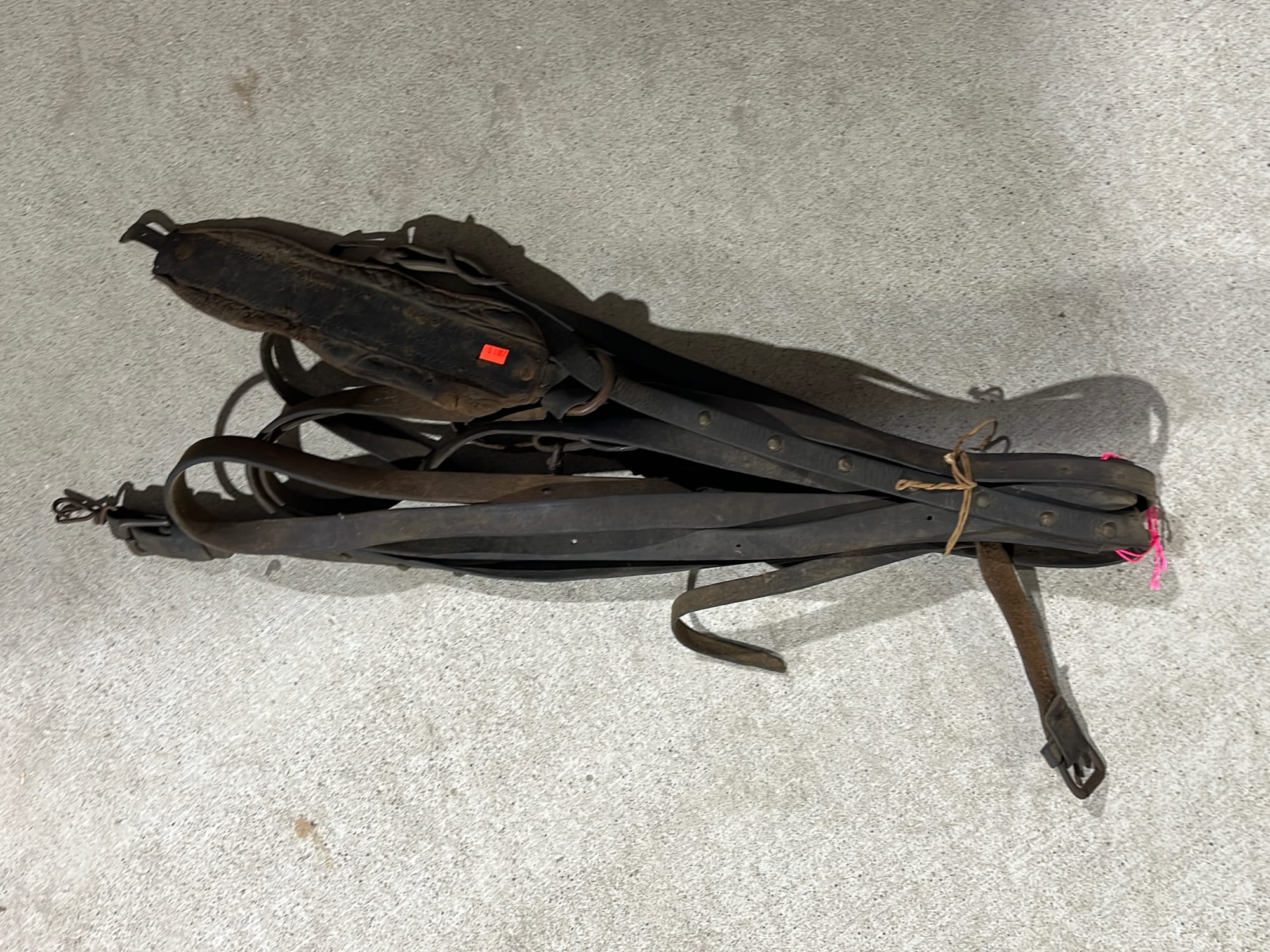 Online Bidding Only!