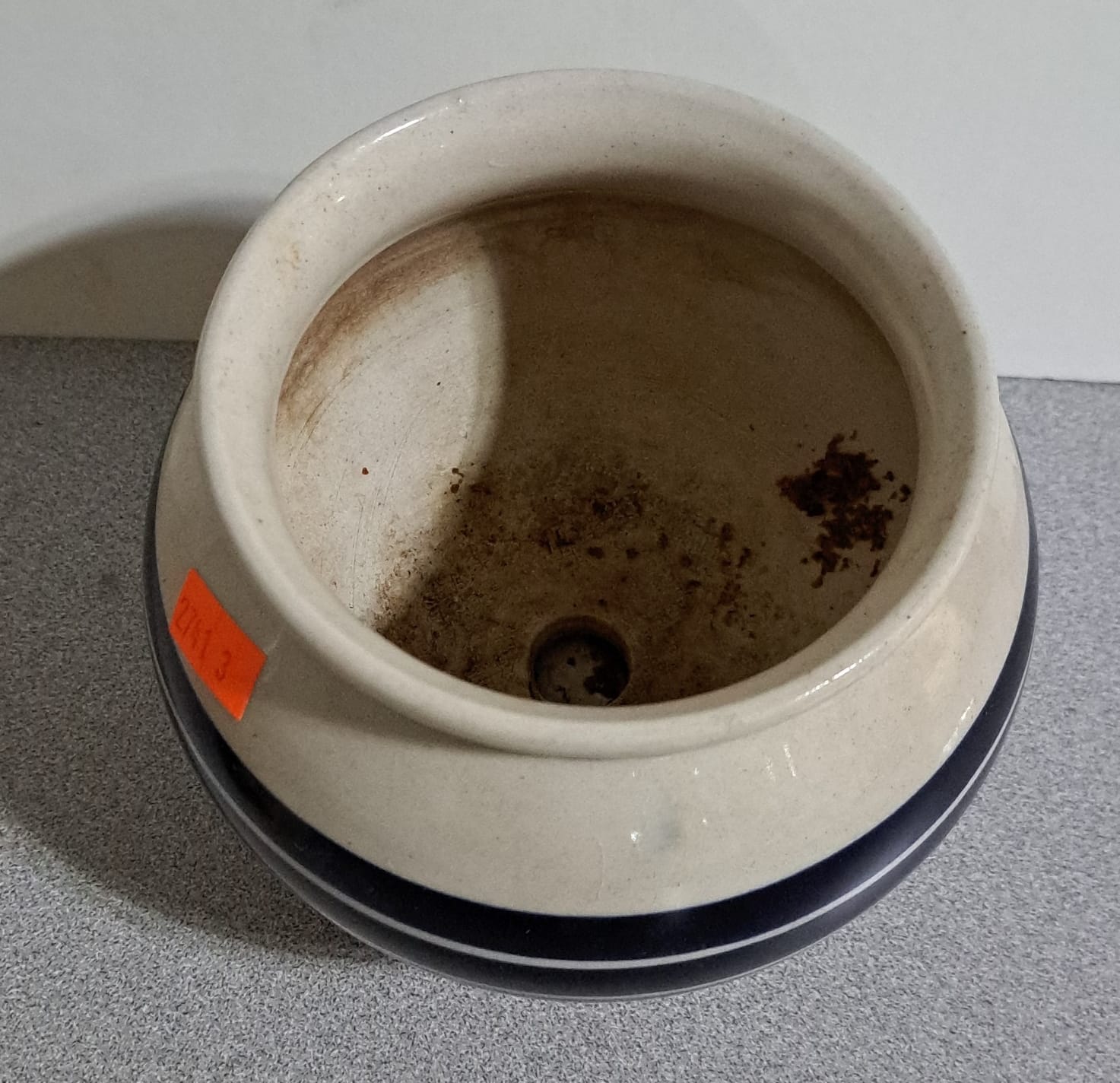 Online Bidding Only!