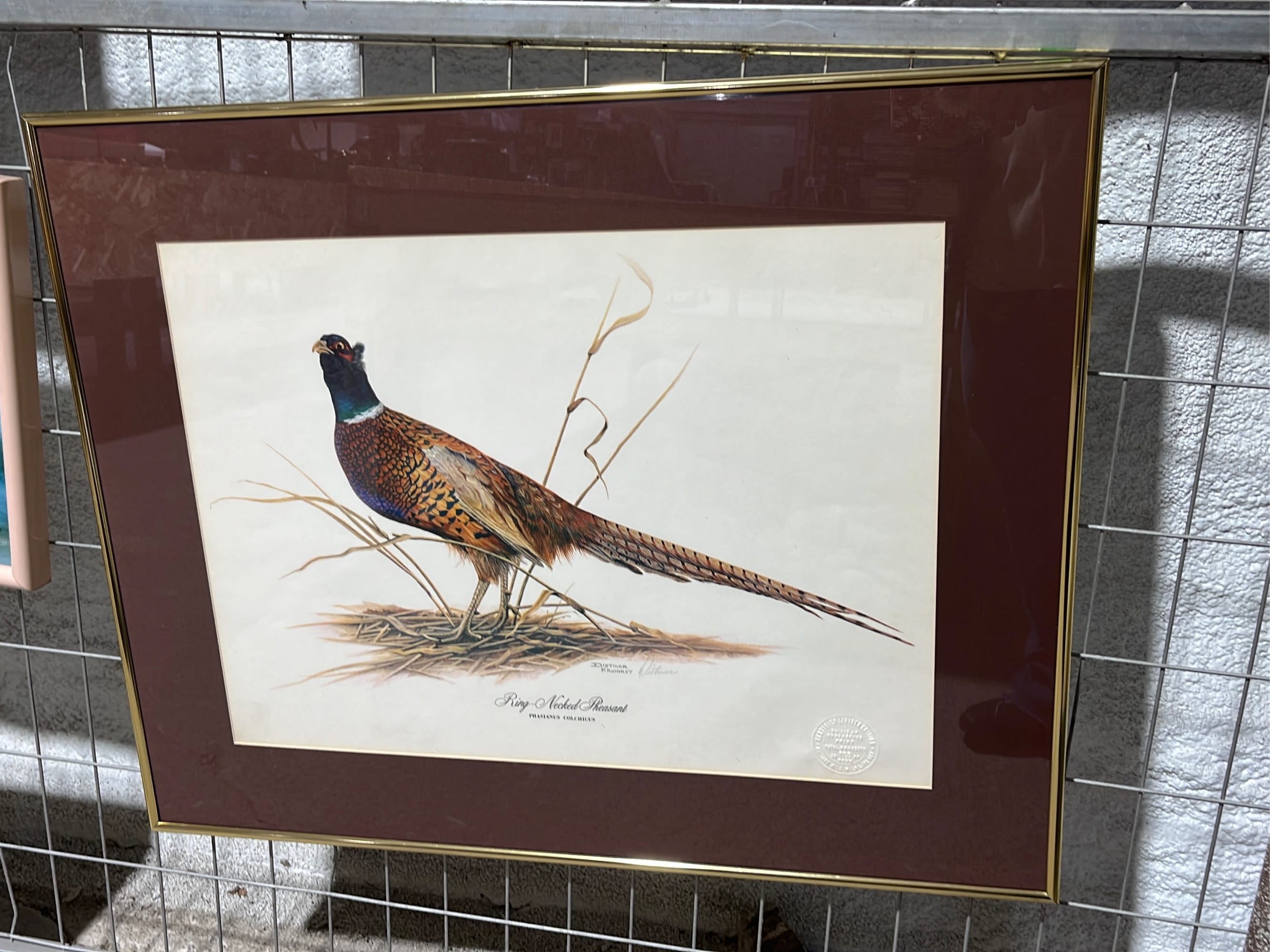 Online Bidding Only!