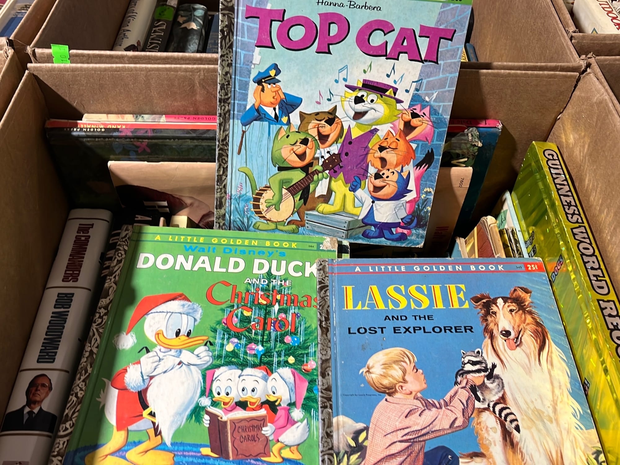 Online Bidding Only!