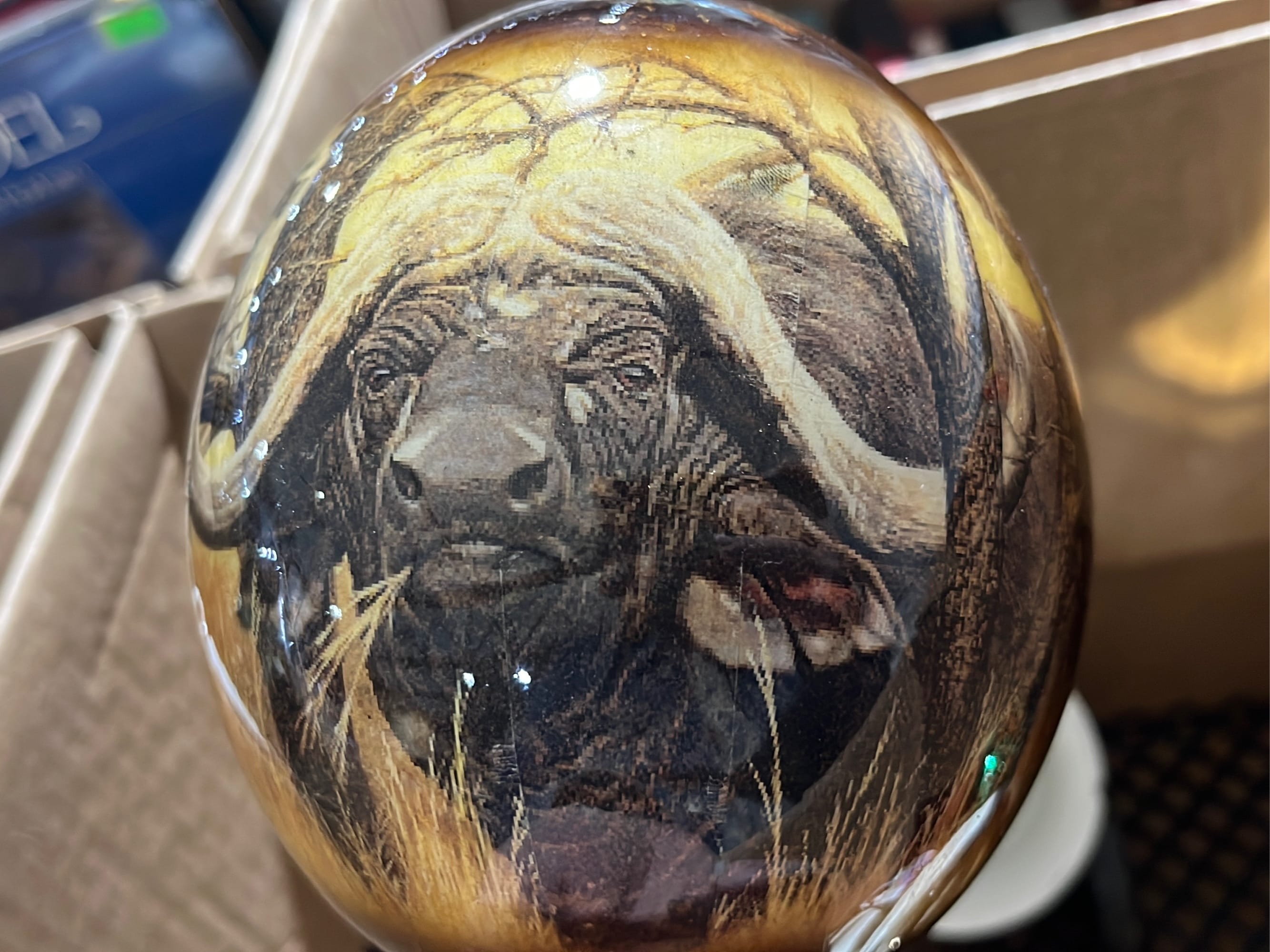 Online Bidding Only!