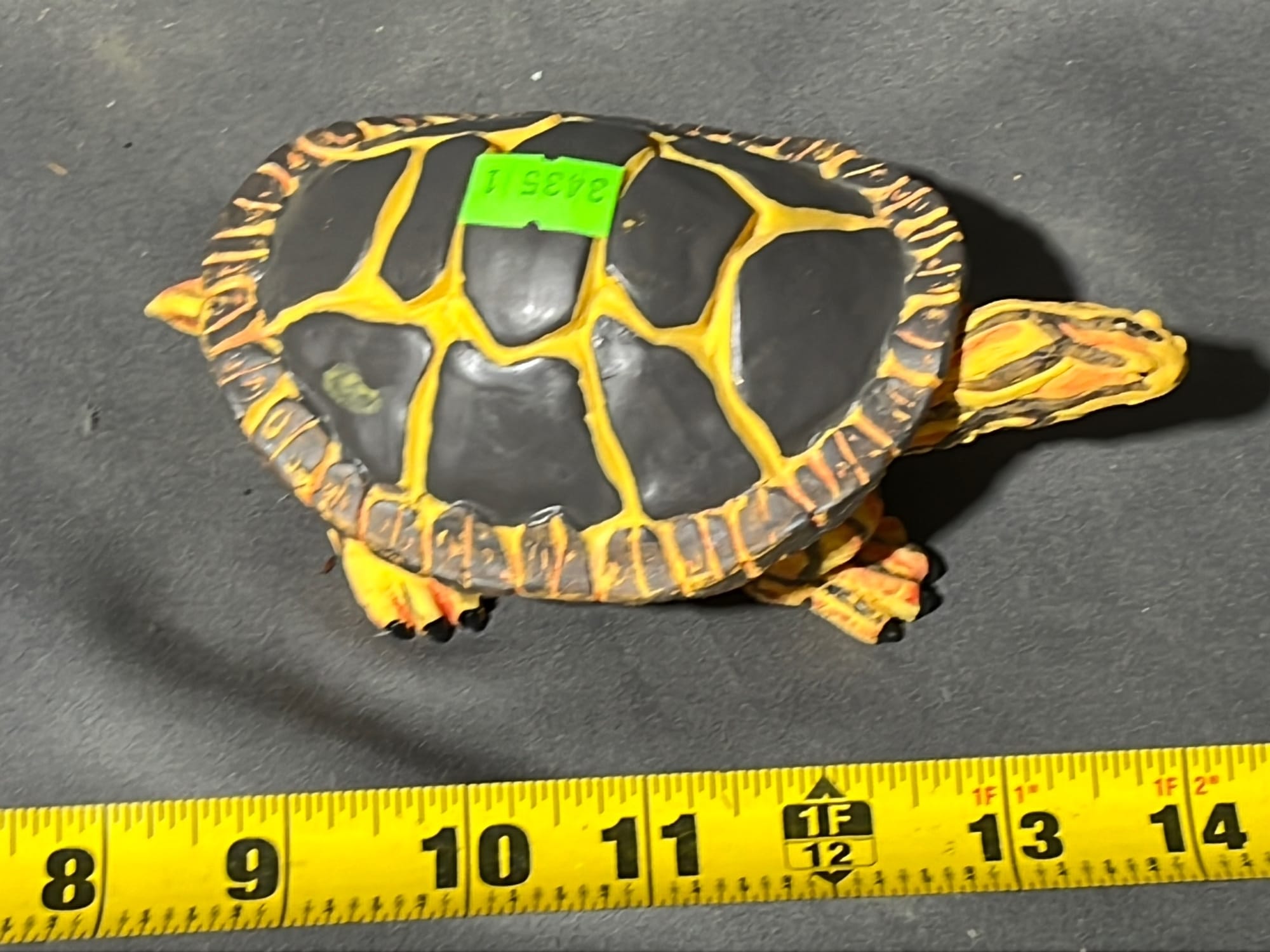 Online Bidding Only!