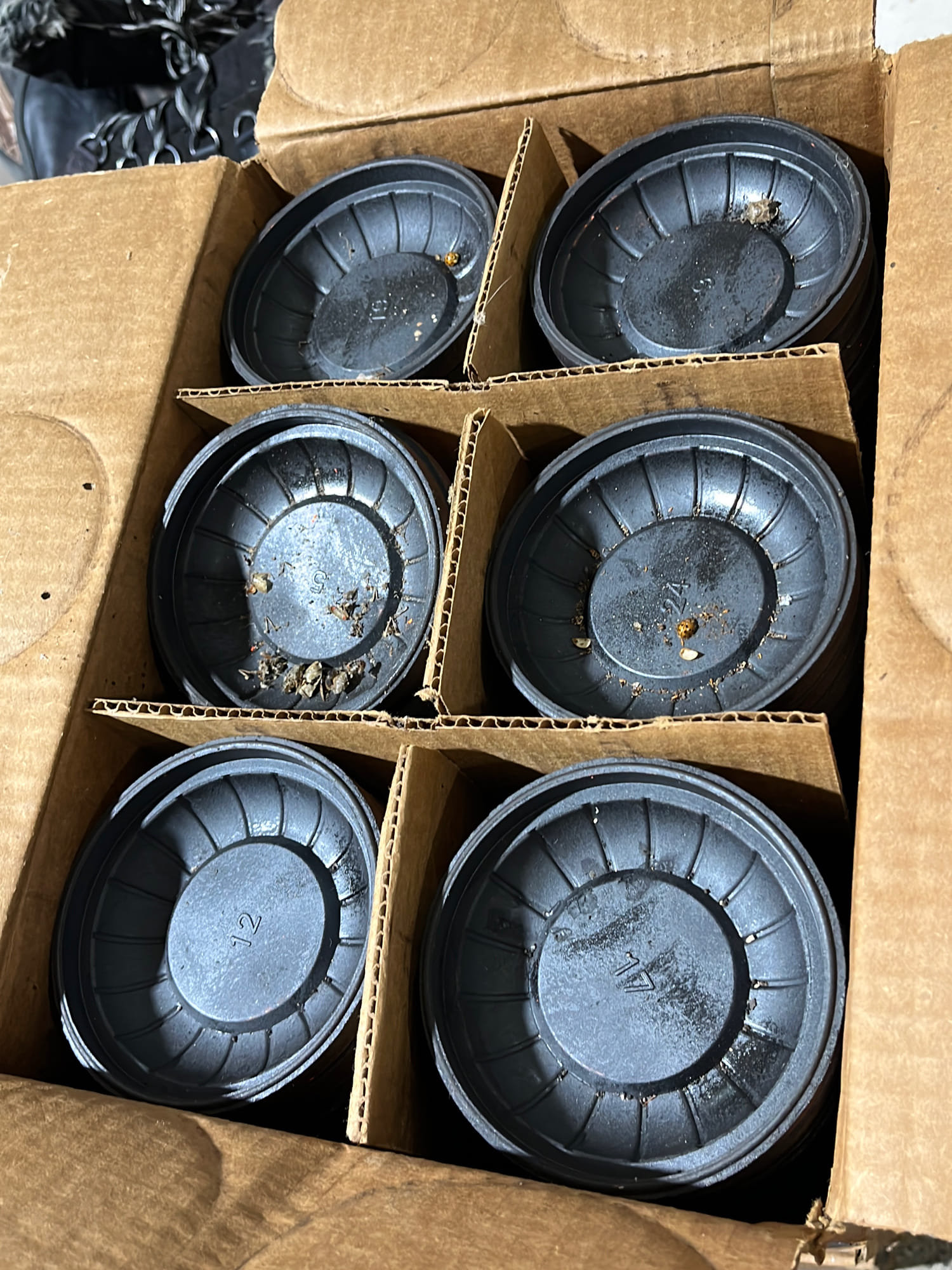 Online Bidding Only!