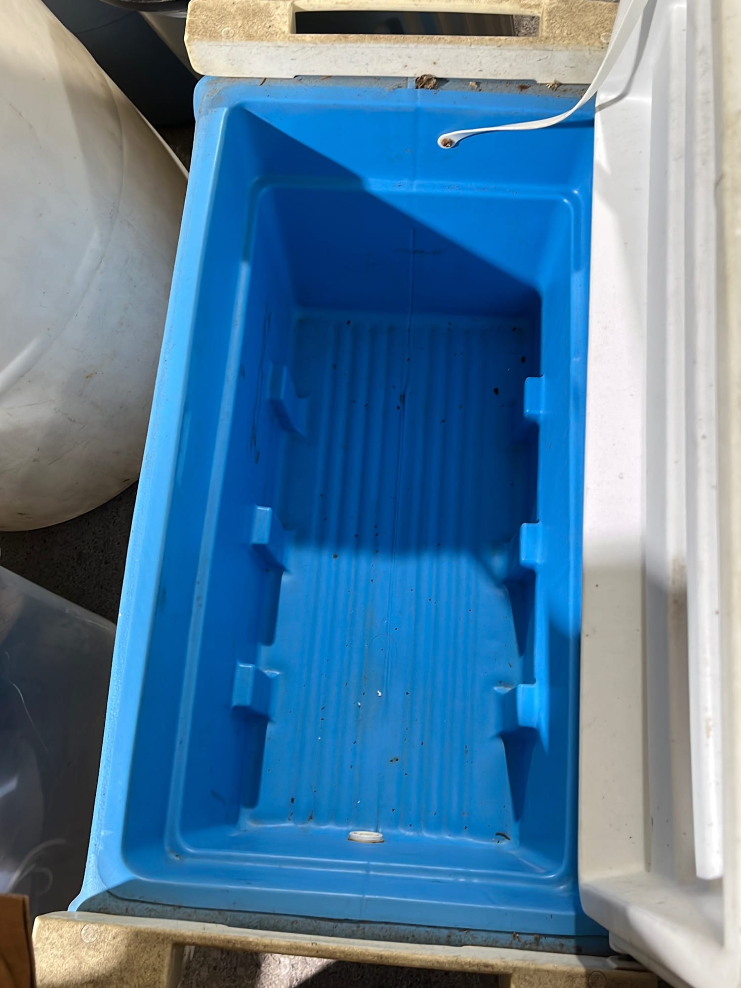 Online Bidding Only!