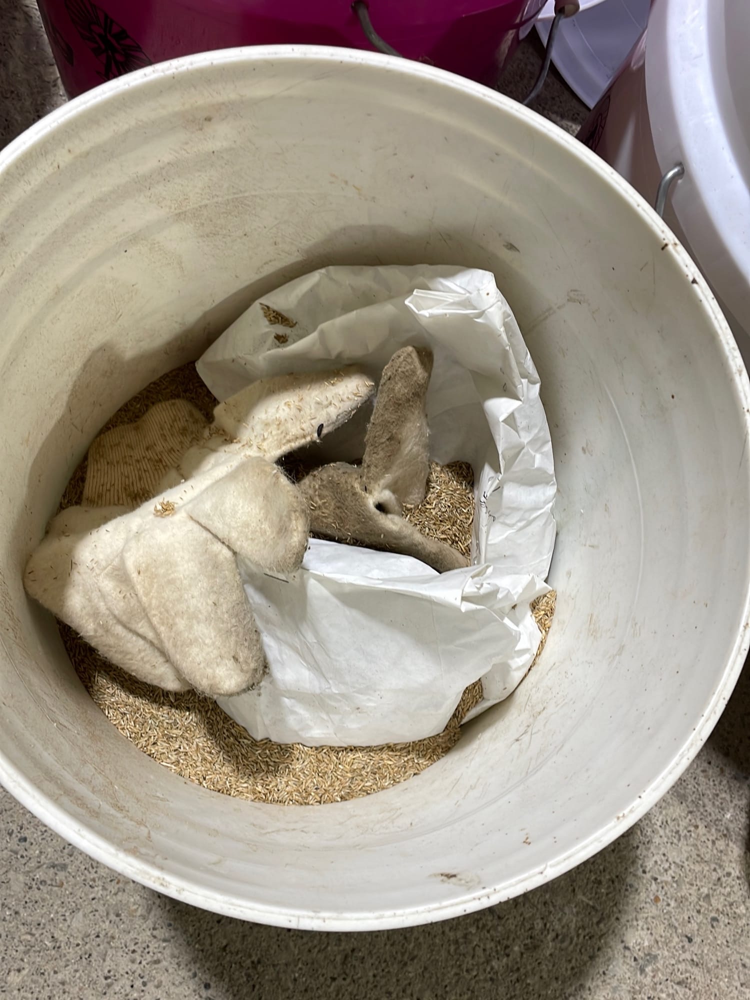 Online Bidding Only!