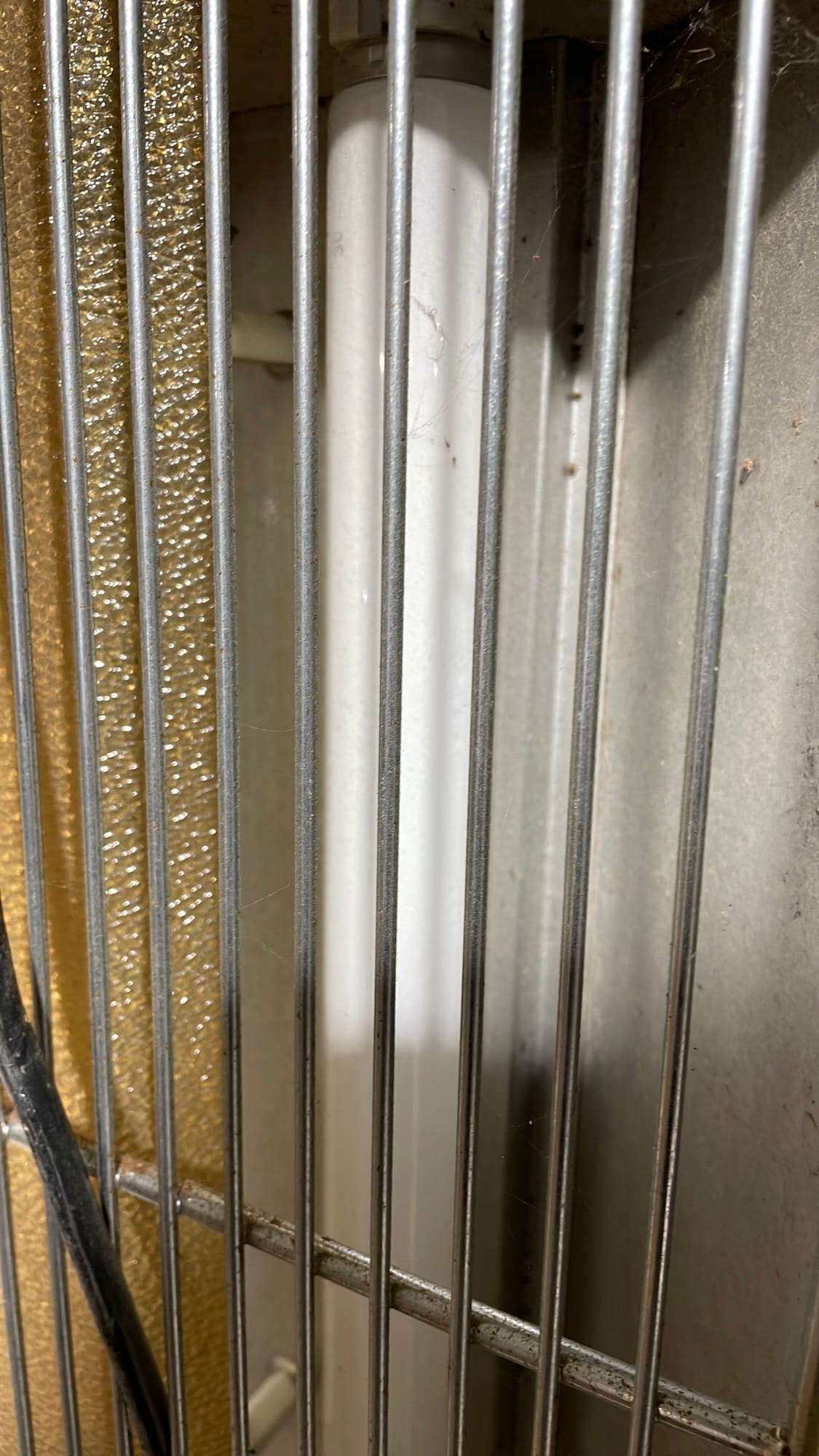 Online Bidding Only!