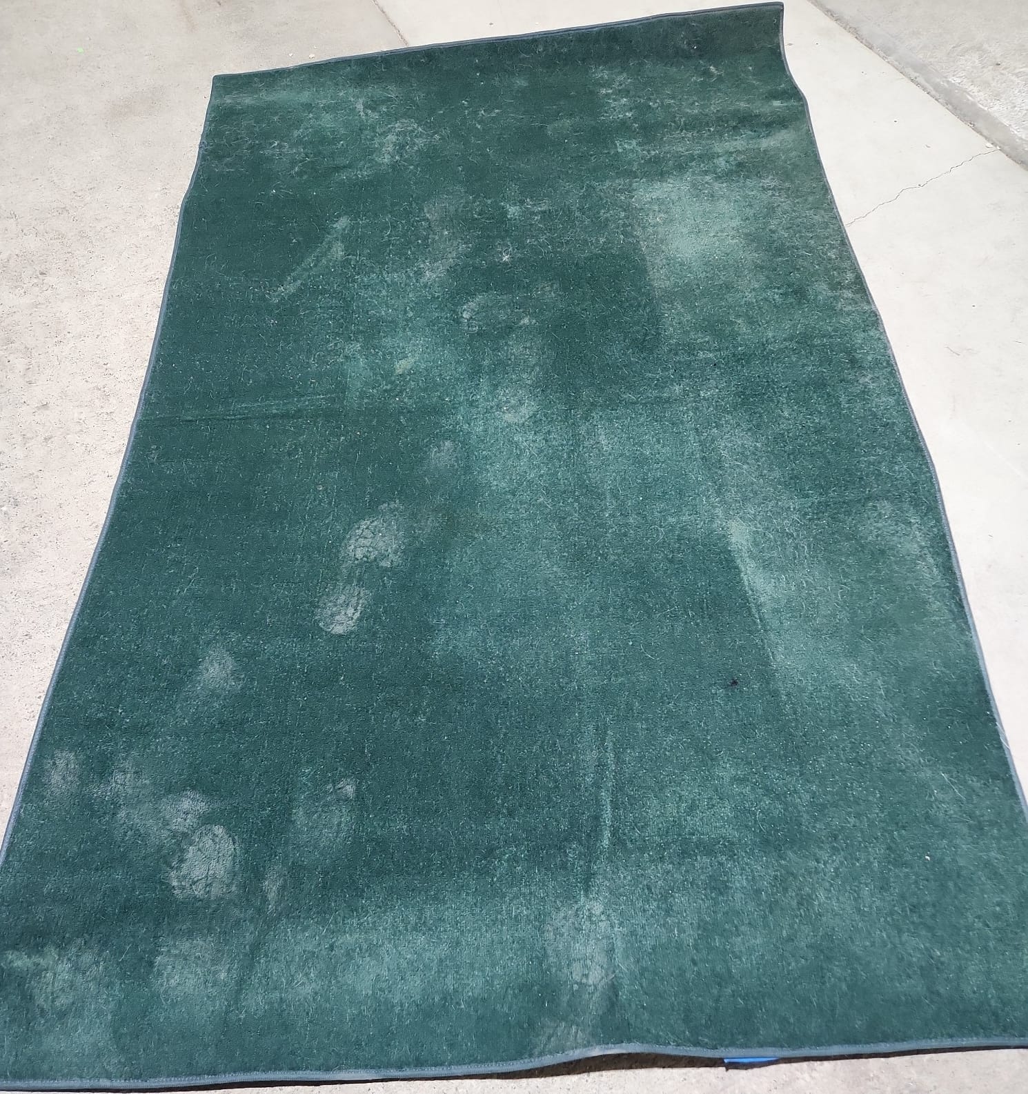 Online Bidding Only!