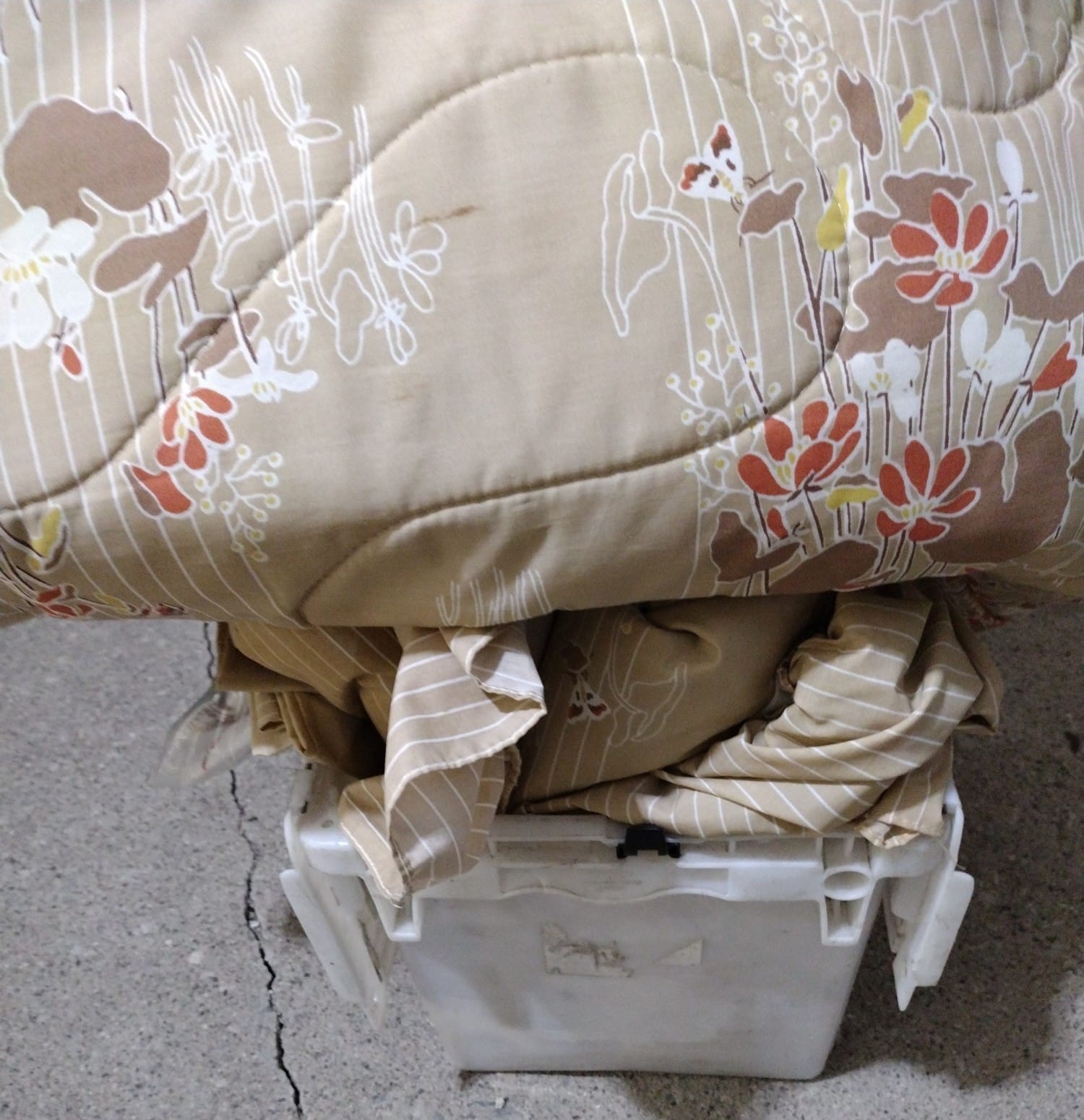 Online Bidding Only!