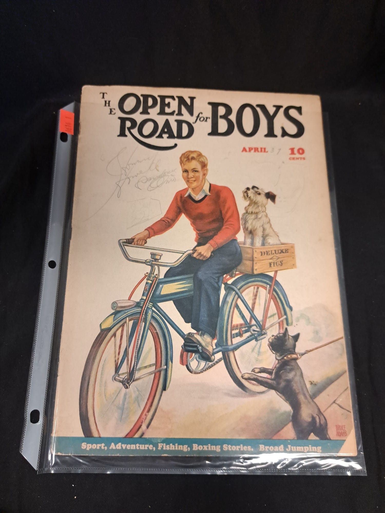 Online Bidding Only!