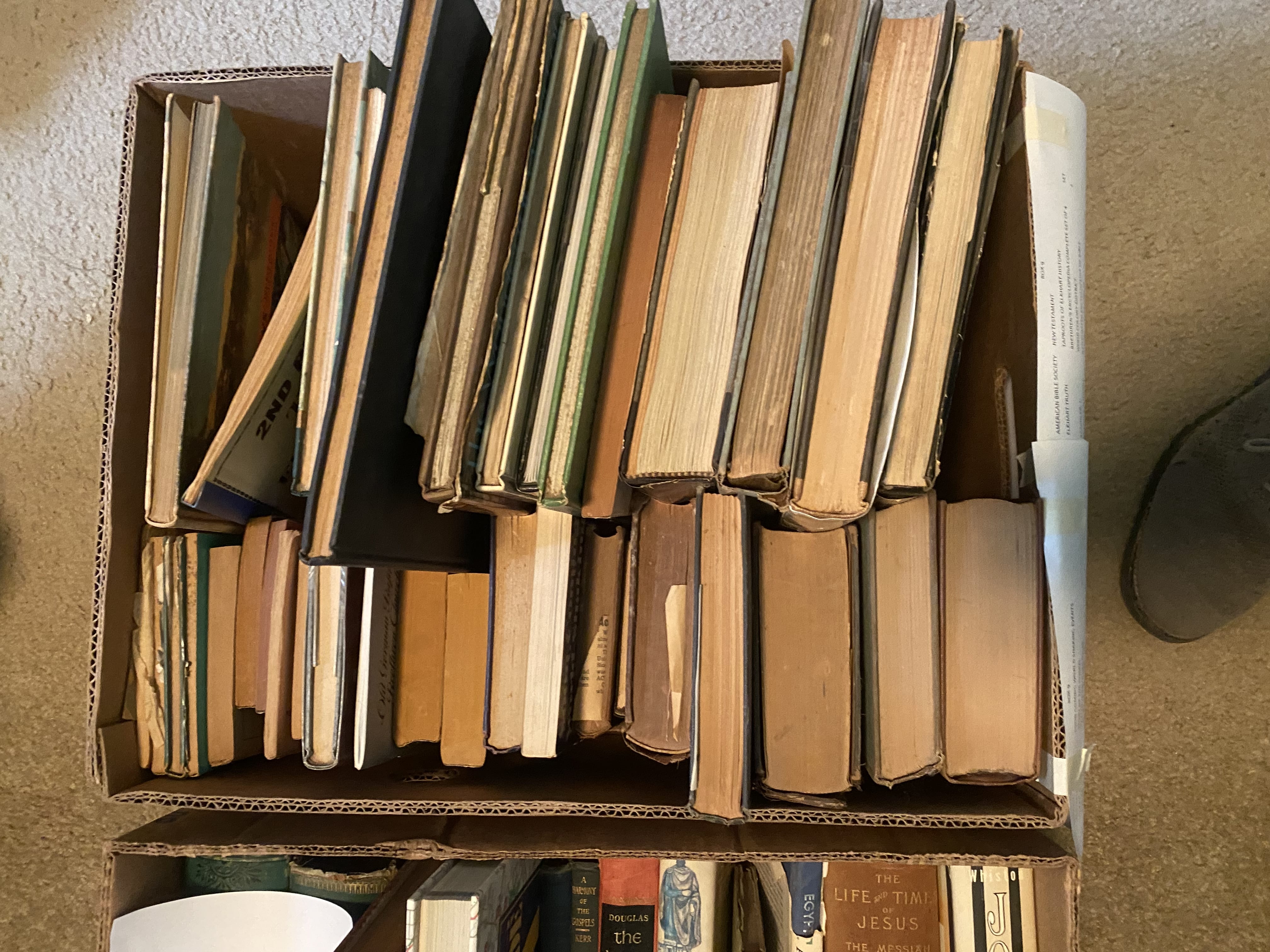 Preview for Live Auction