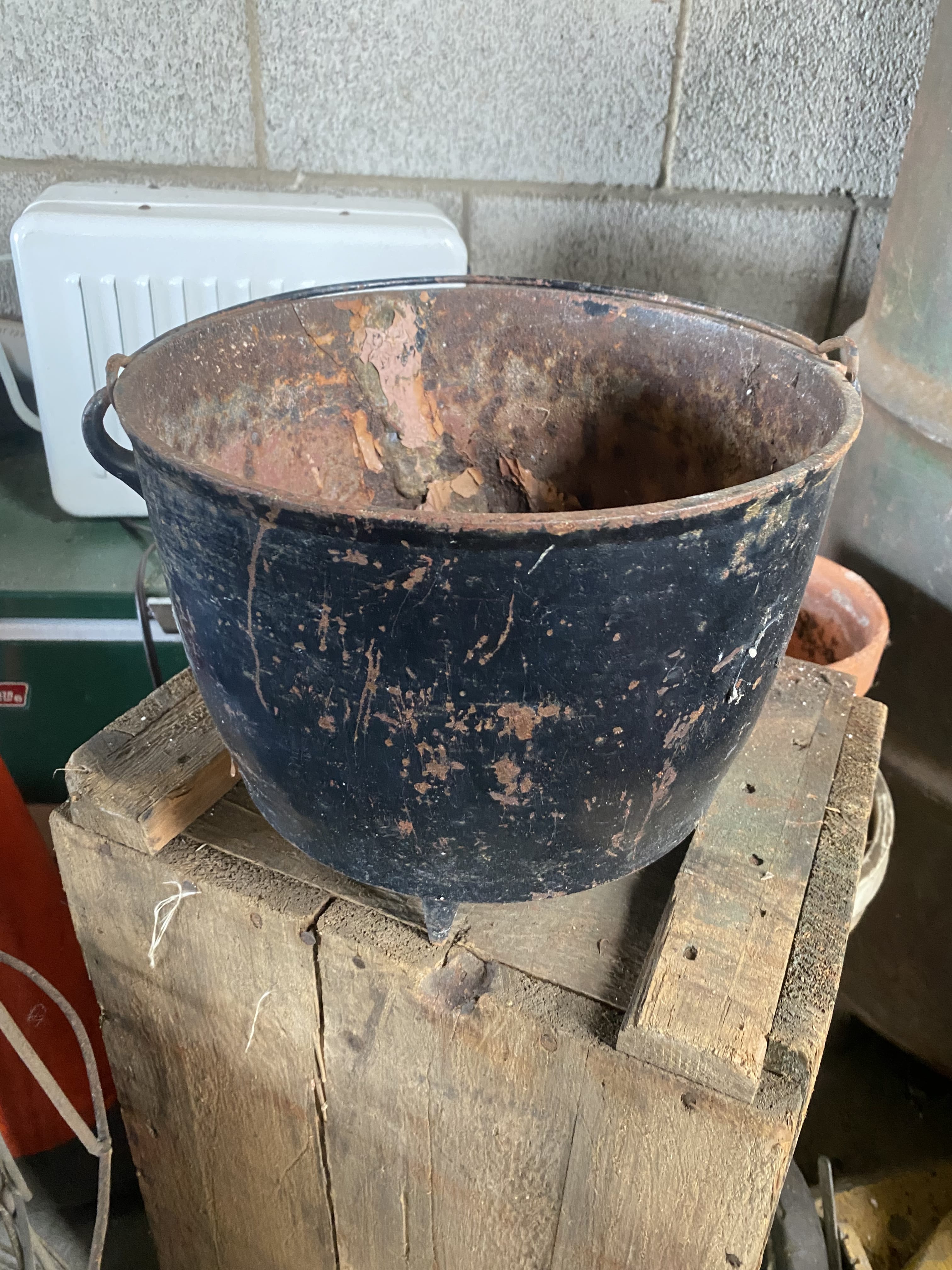 Preview for Live Auction