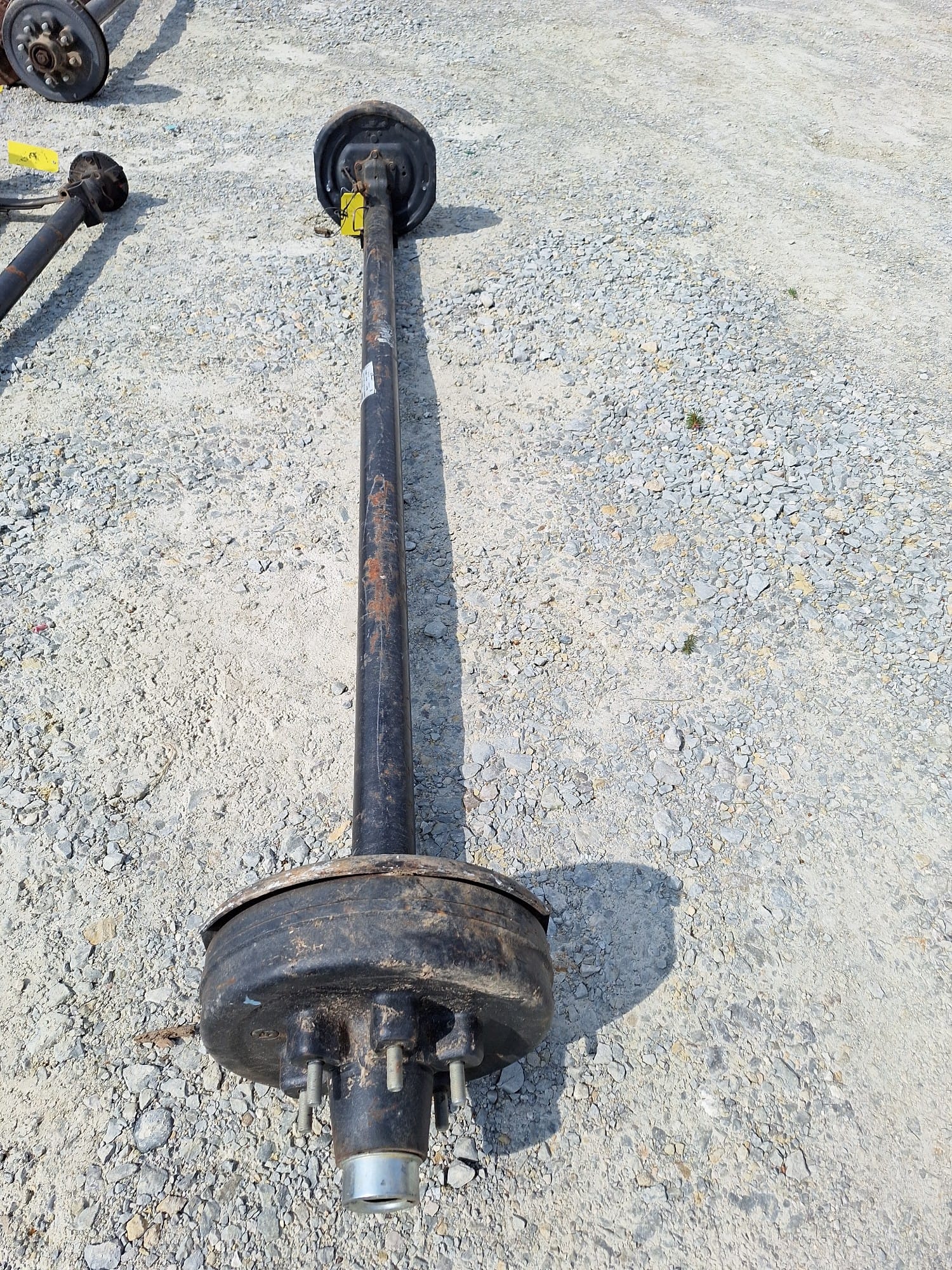 Online Bidding Available!