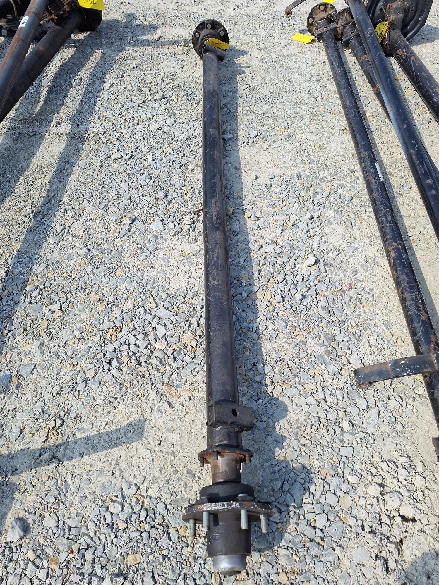 Online Bidding Available!