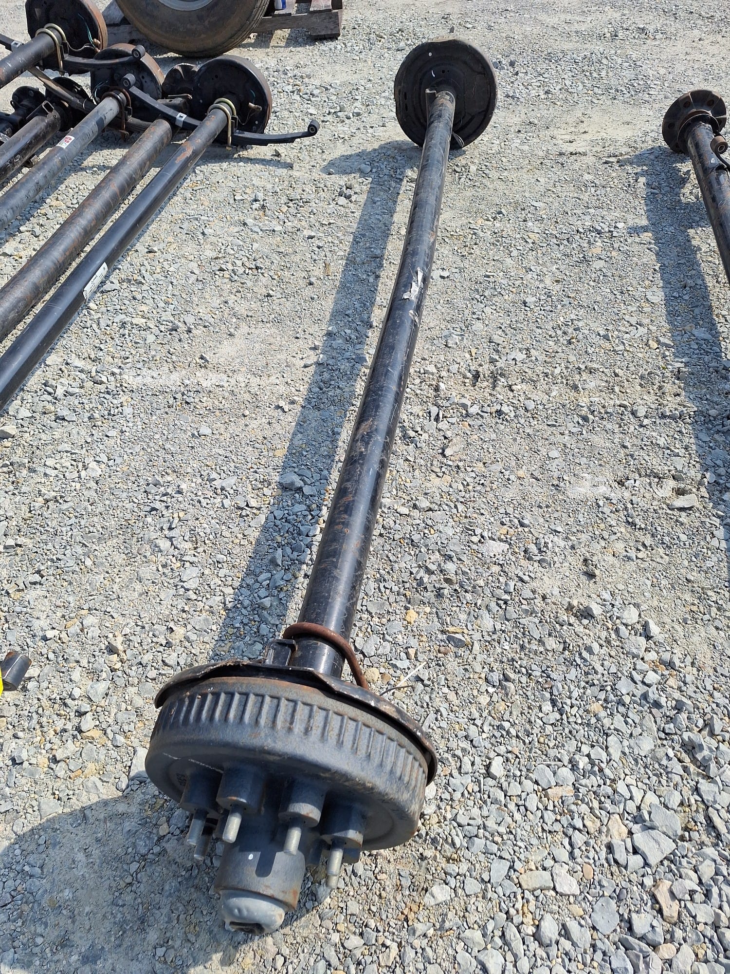 Online Bidding Available!