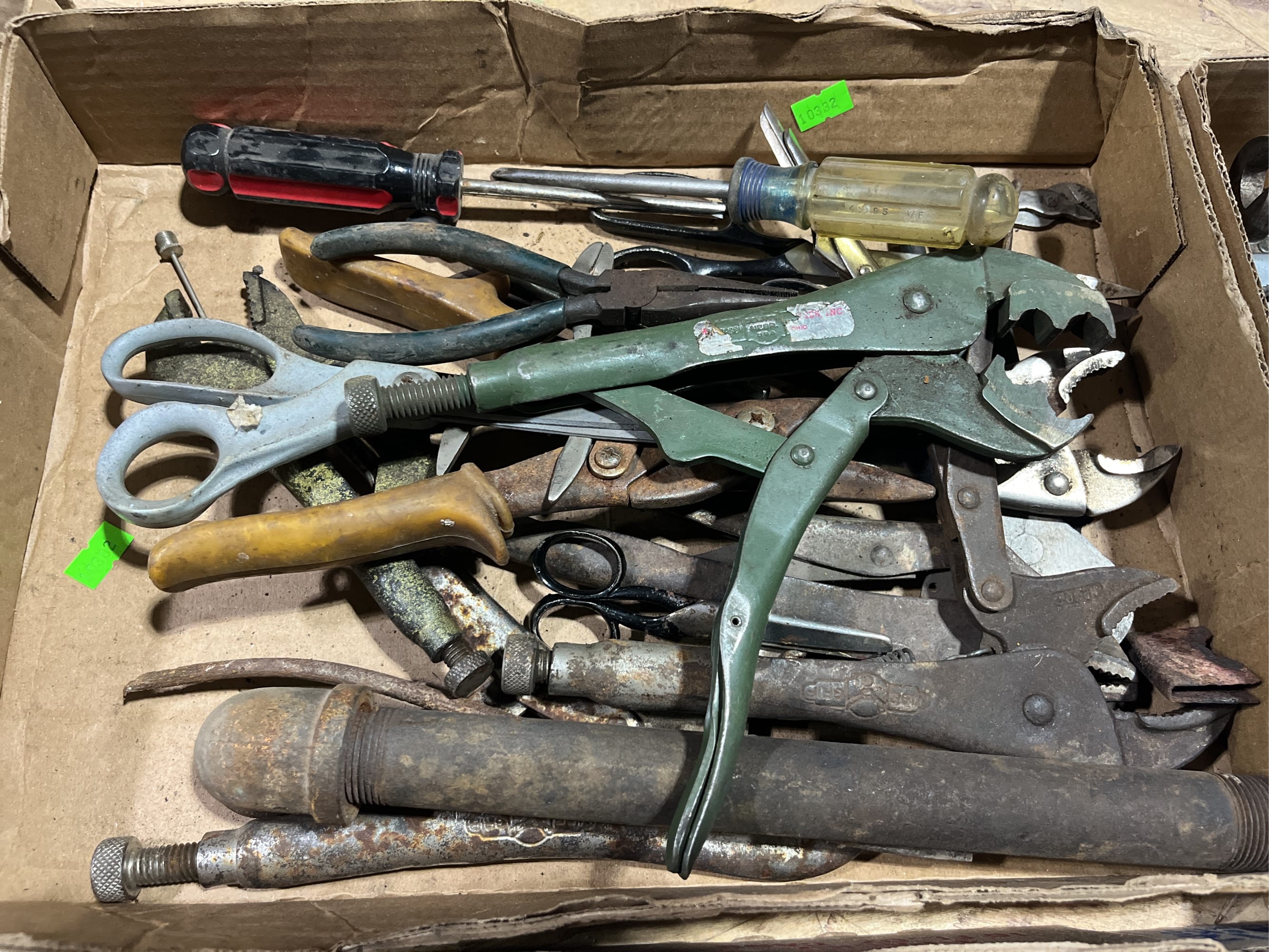 Online Bidding Available!