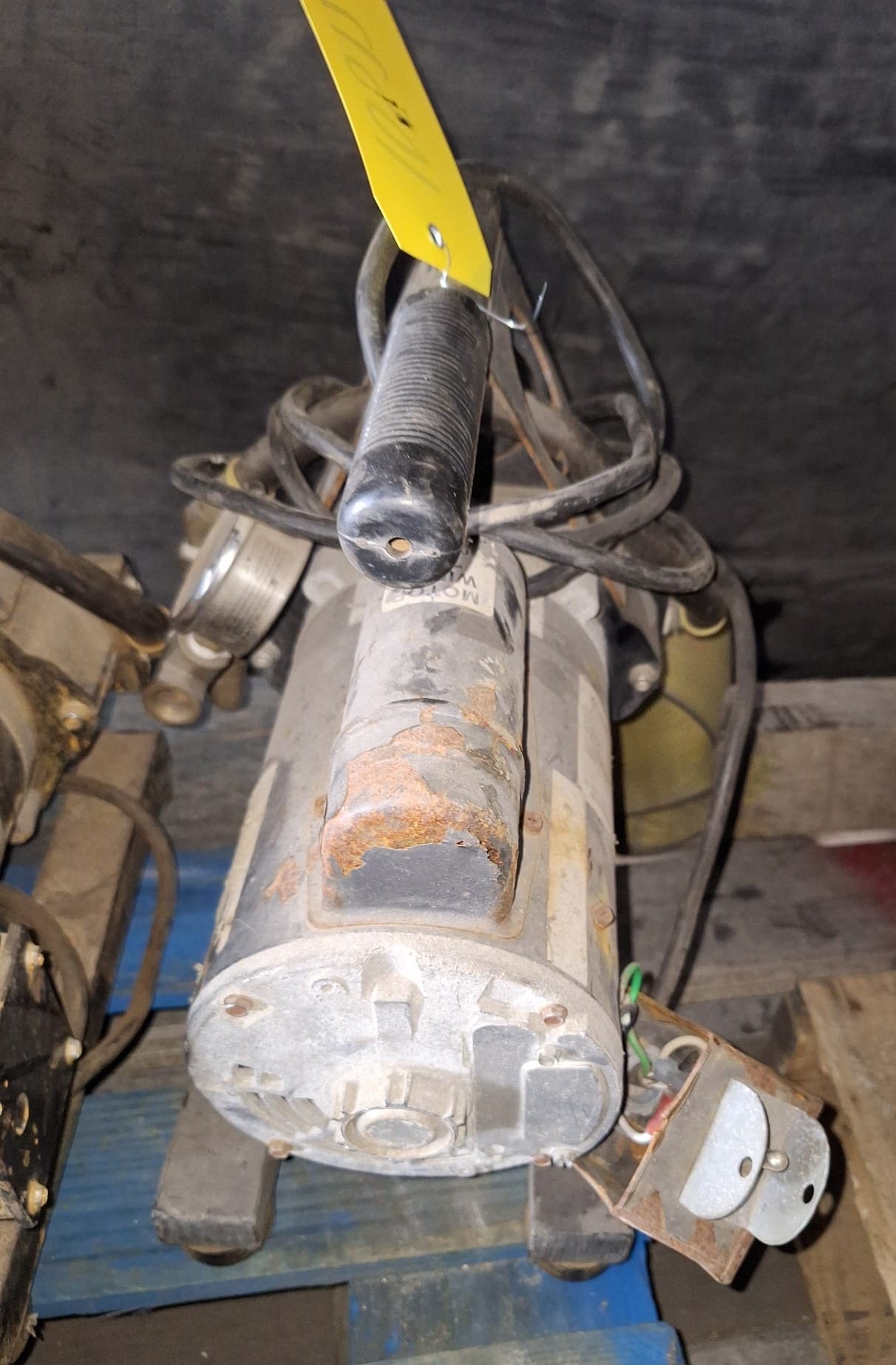 Online Bidding Available!