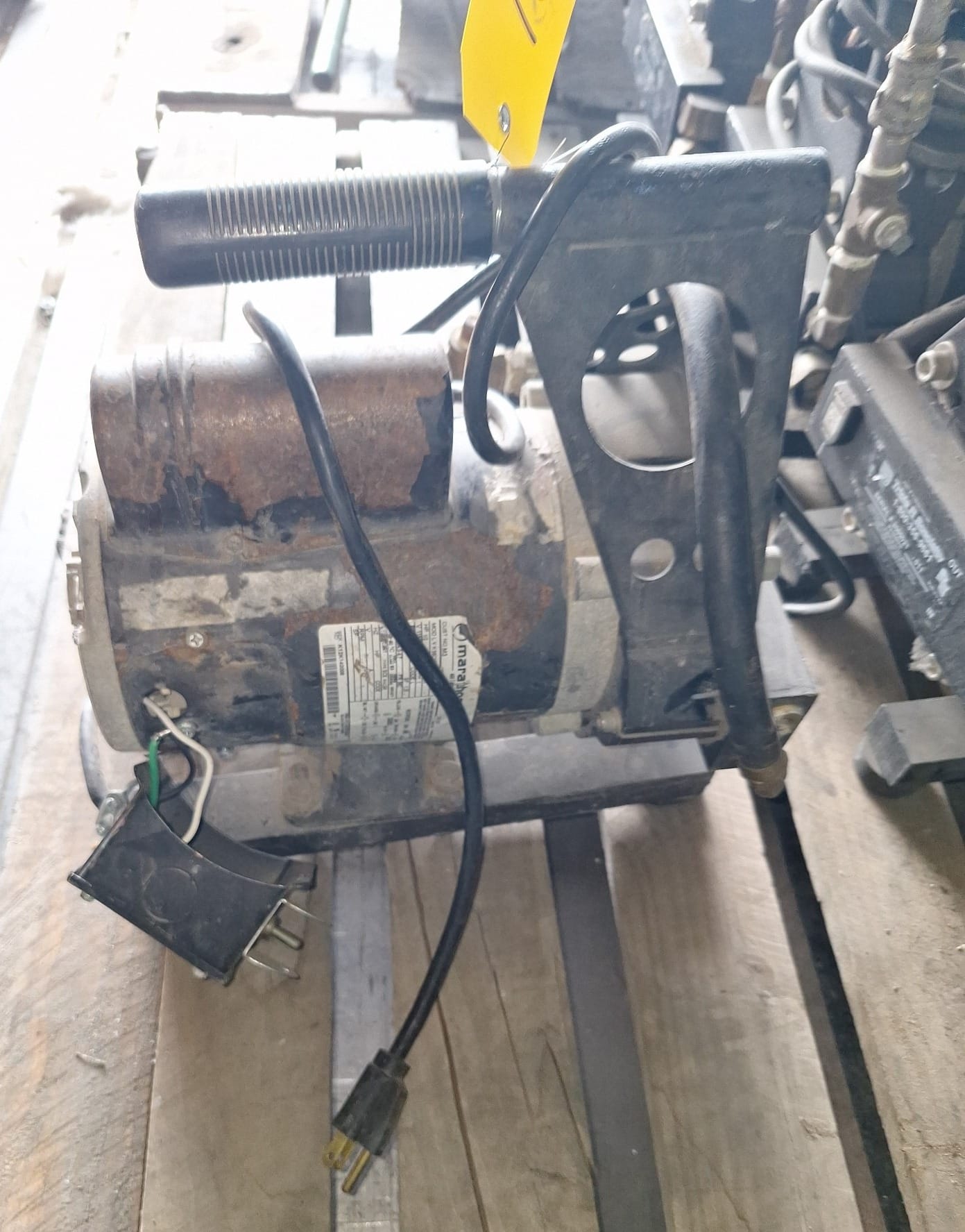 Online Bidding Available!