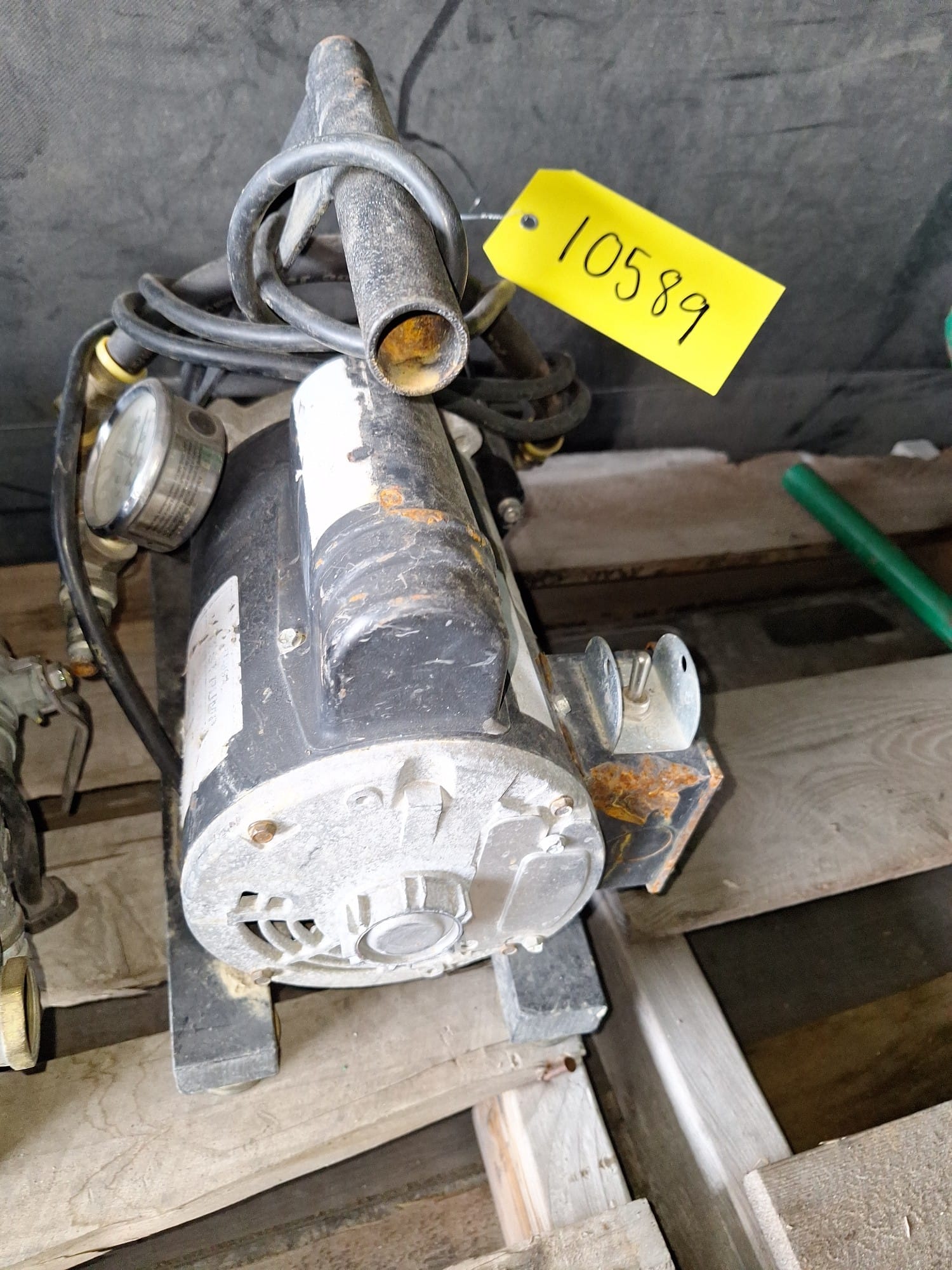 Online Bidding Available!