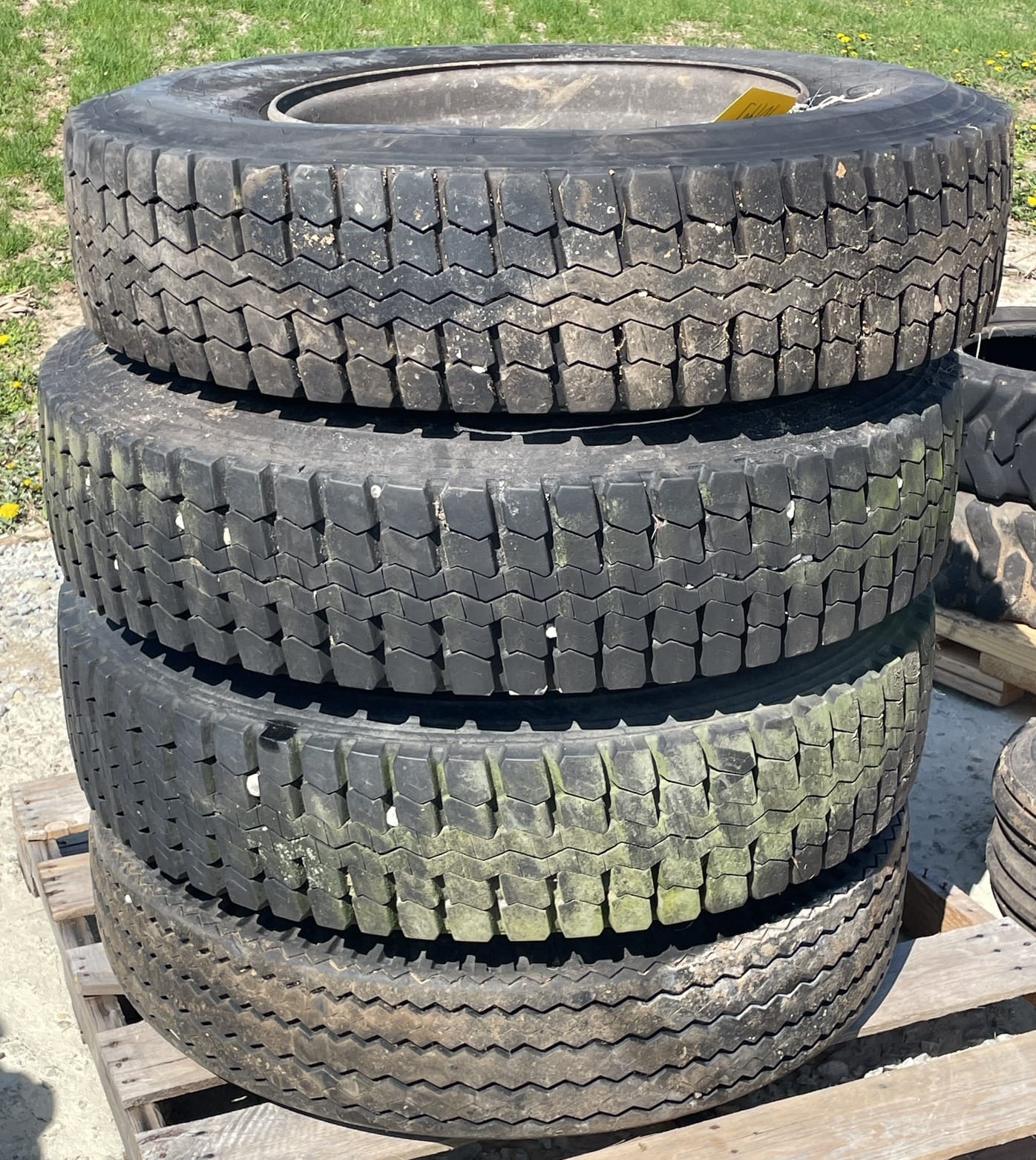 Online Bidding Available!