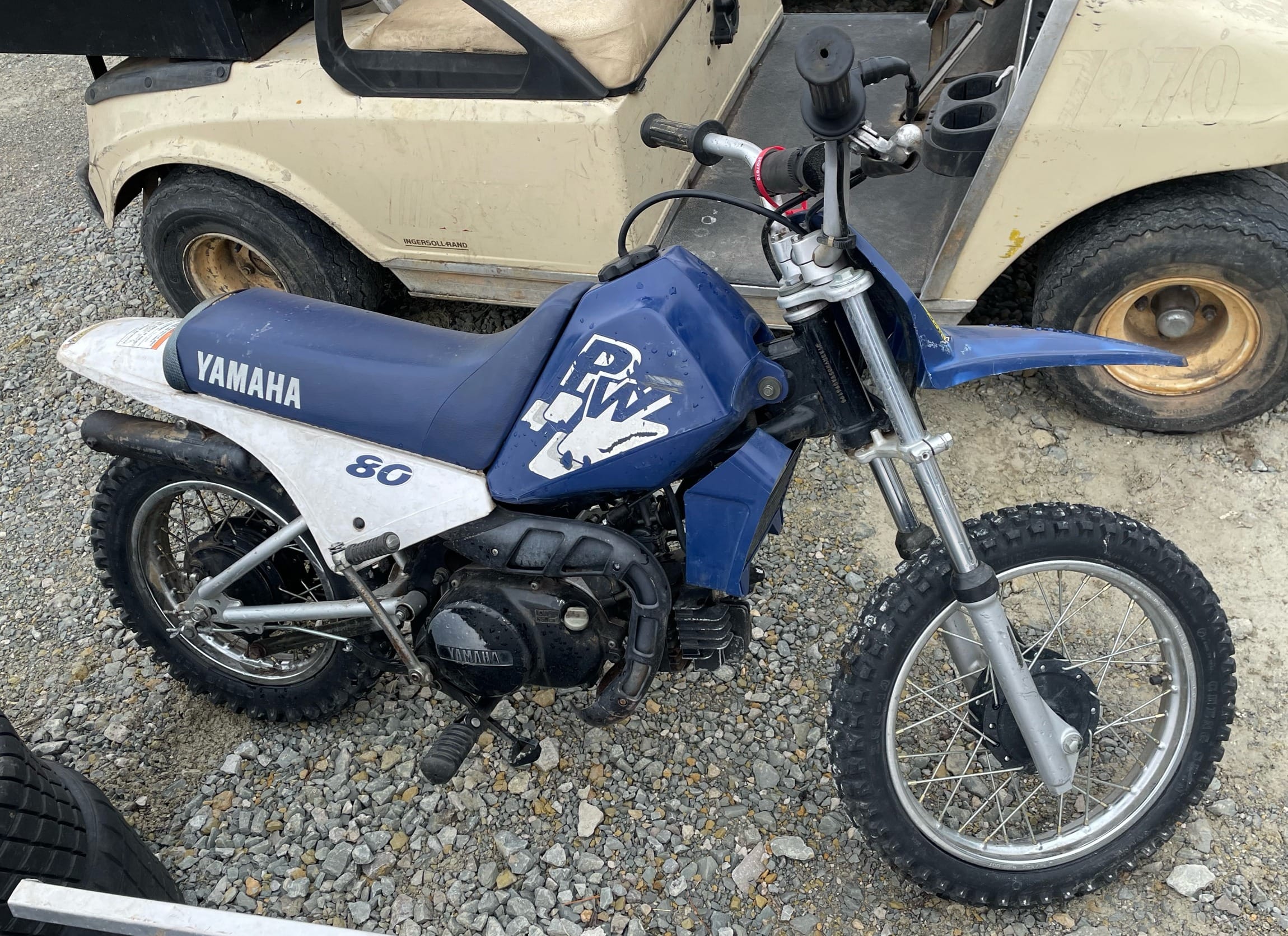 Online Bidding Available!