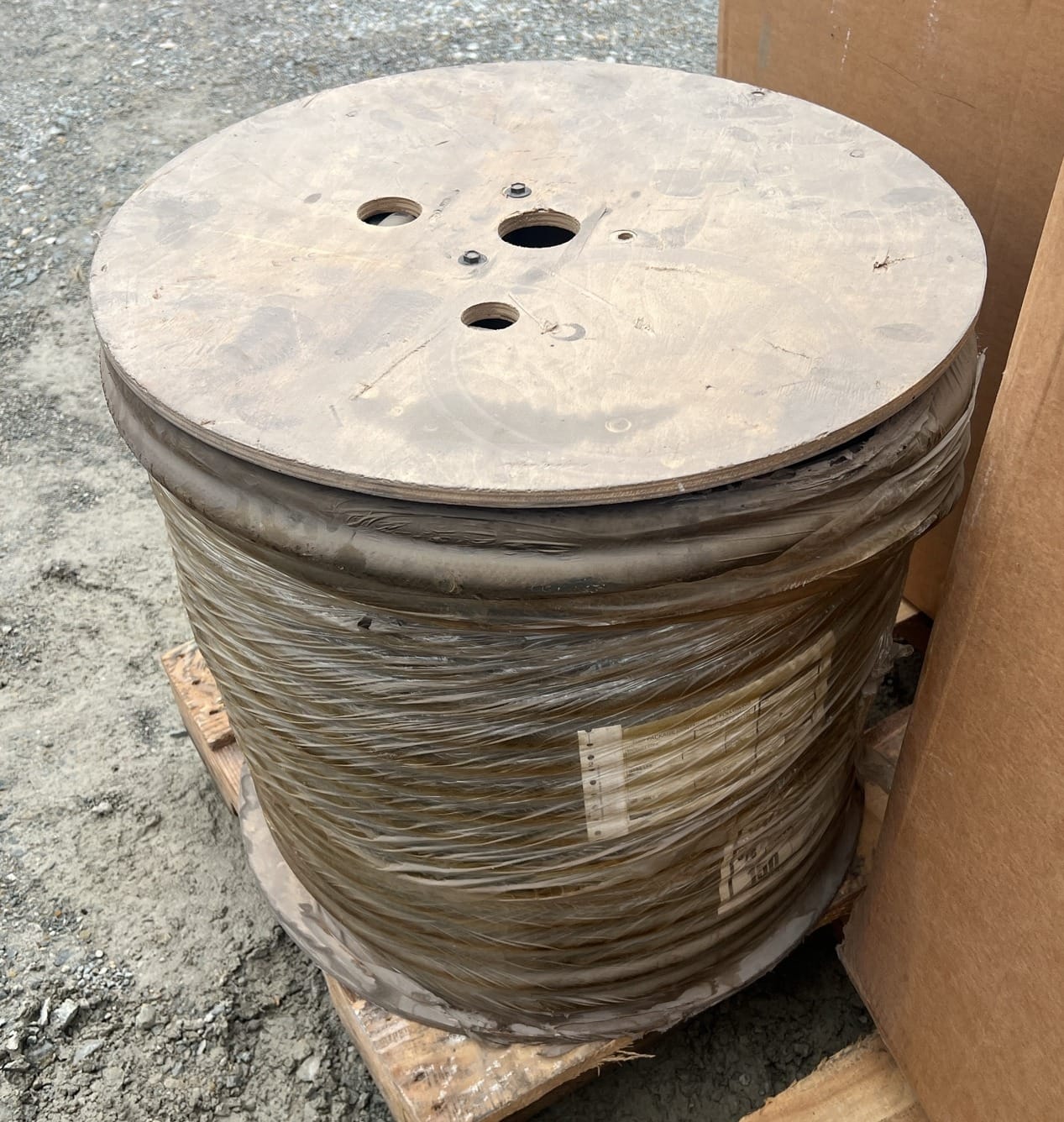 Online Bidding Available!