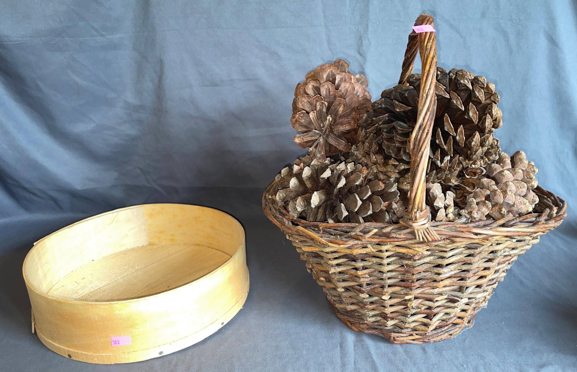 Online Bidding Available!