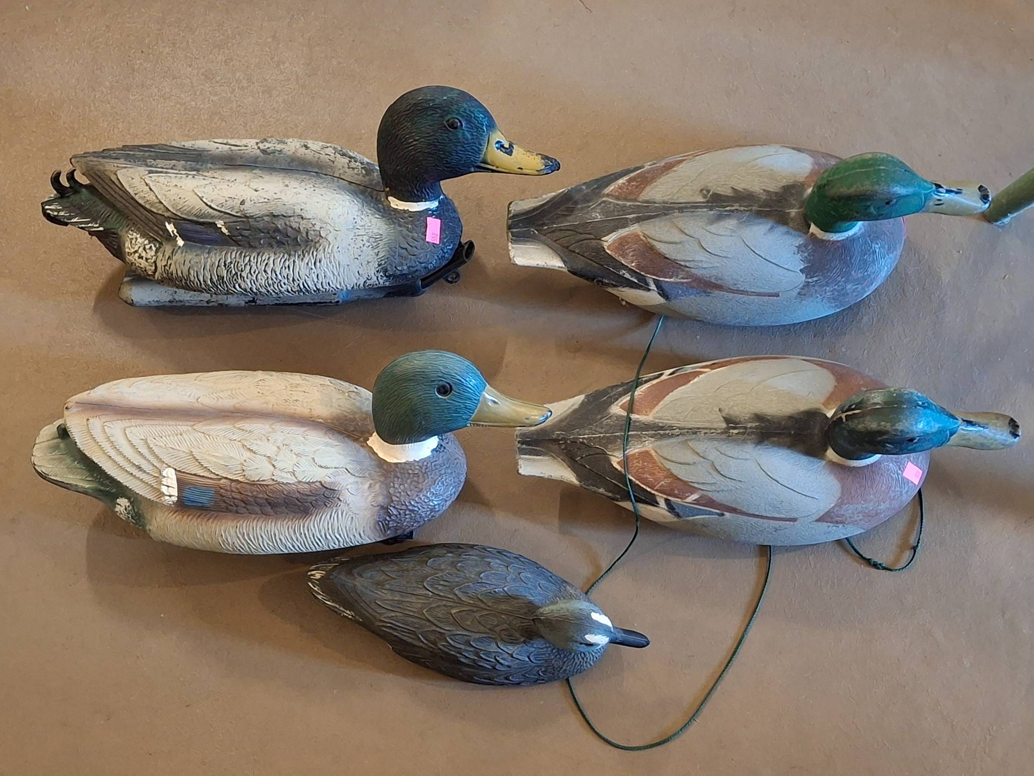 Online Bidding Available!