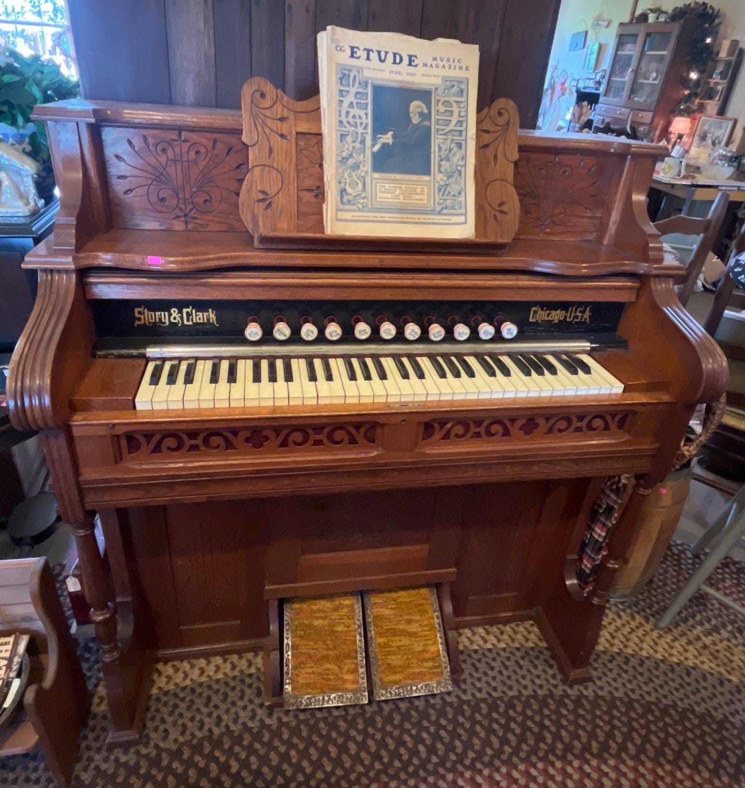 Online Bidding Available!