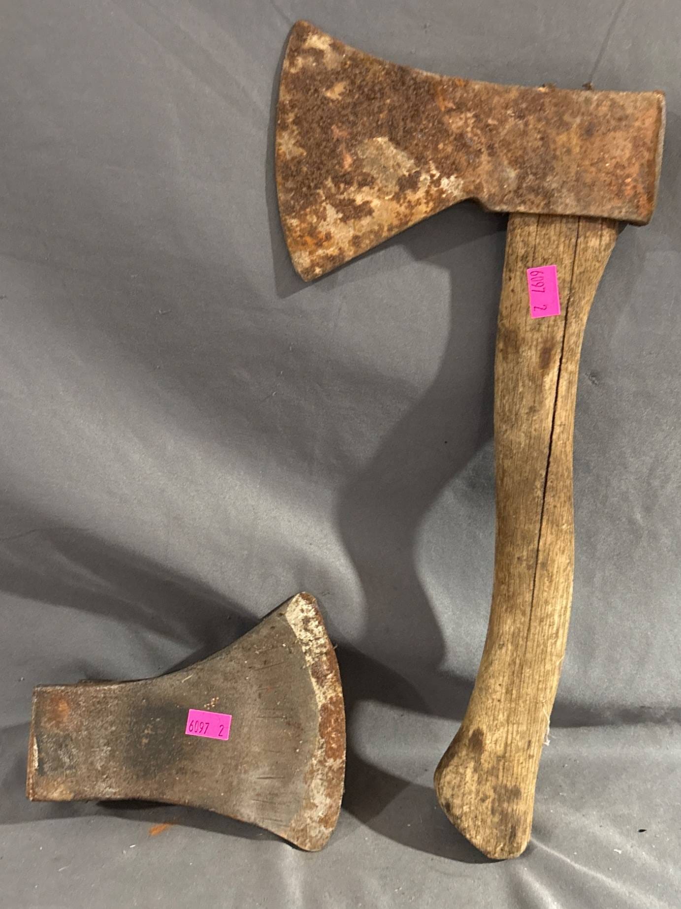 Online Bidding Available!