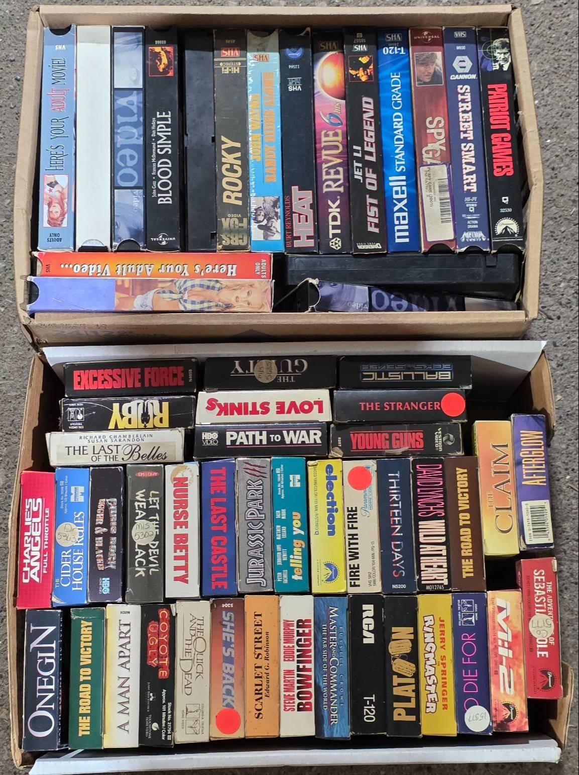 Online Bidding Available!