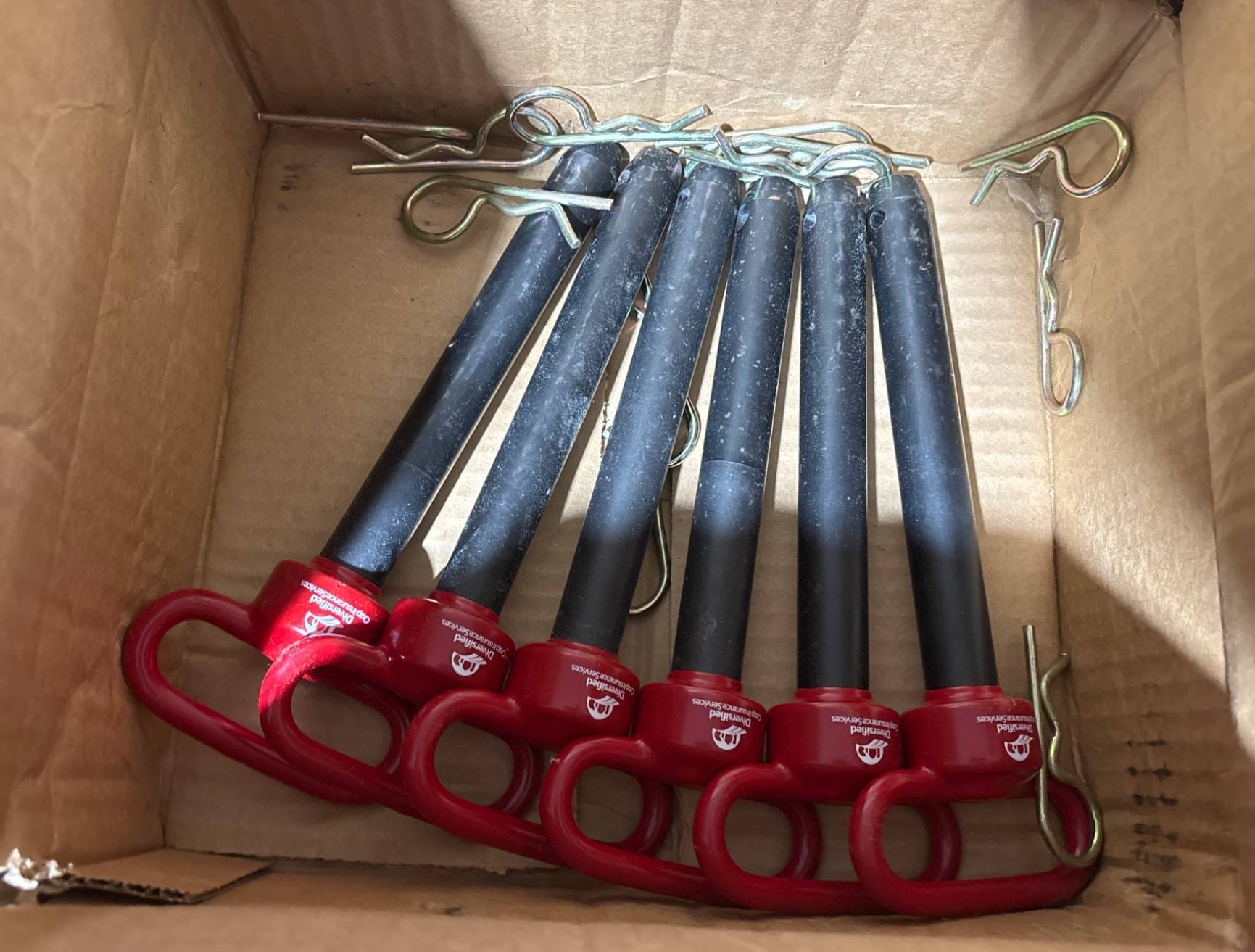 Online Bidding Available!