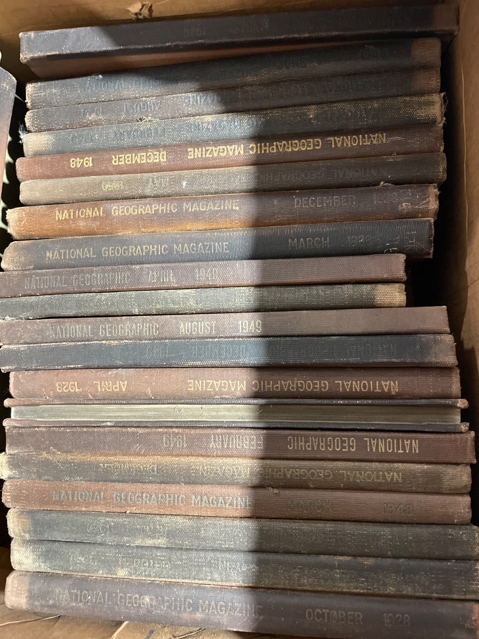 Online Bidding Available!