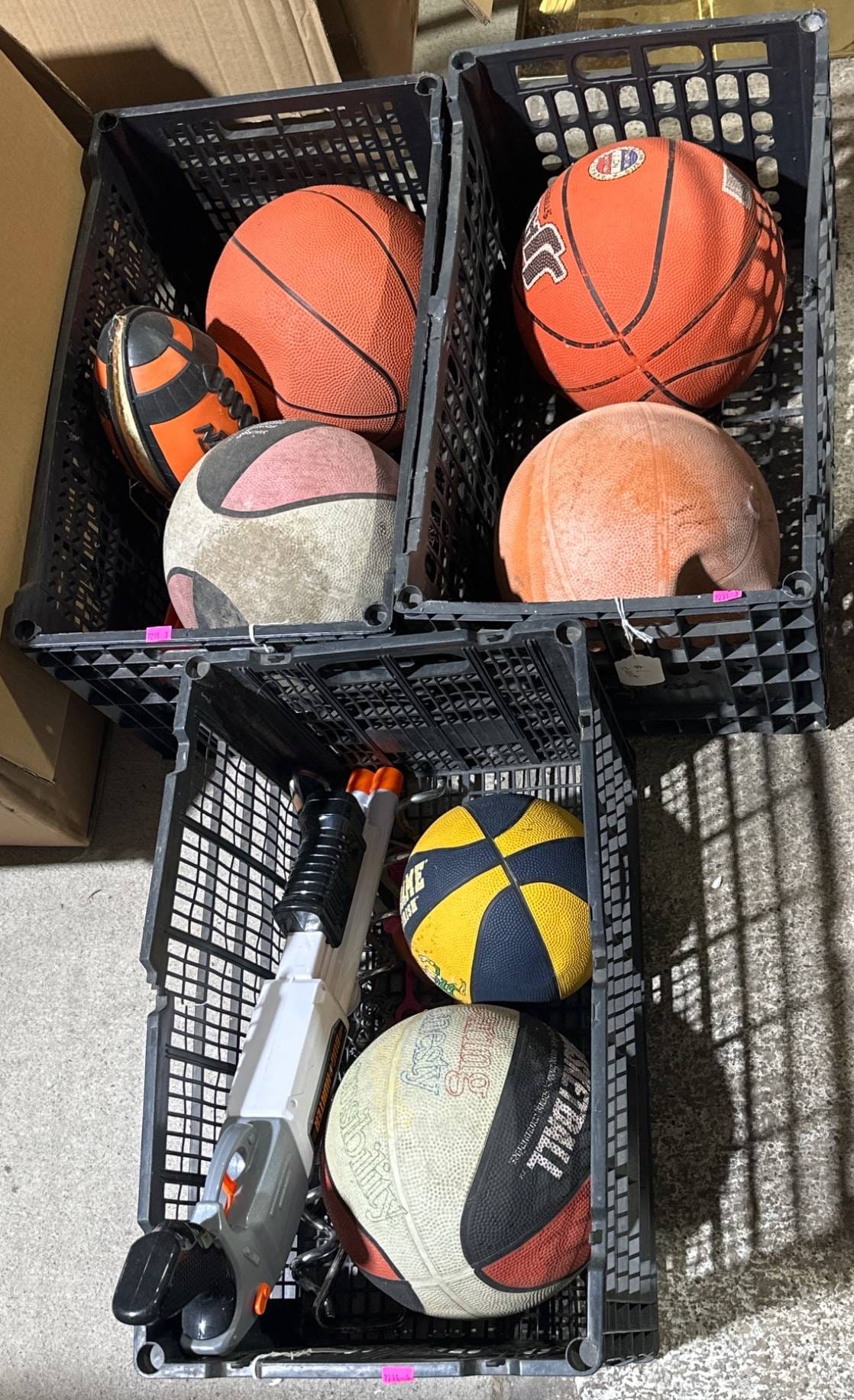 Online Bidding Available!