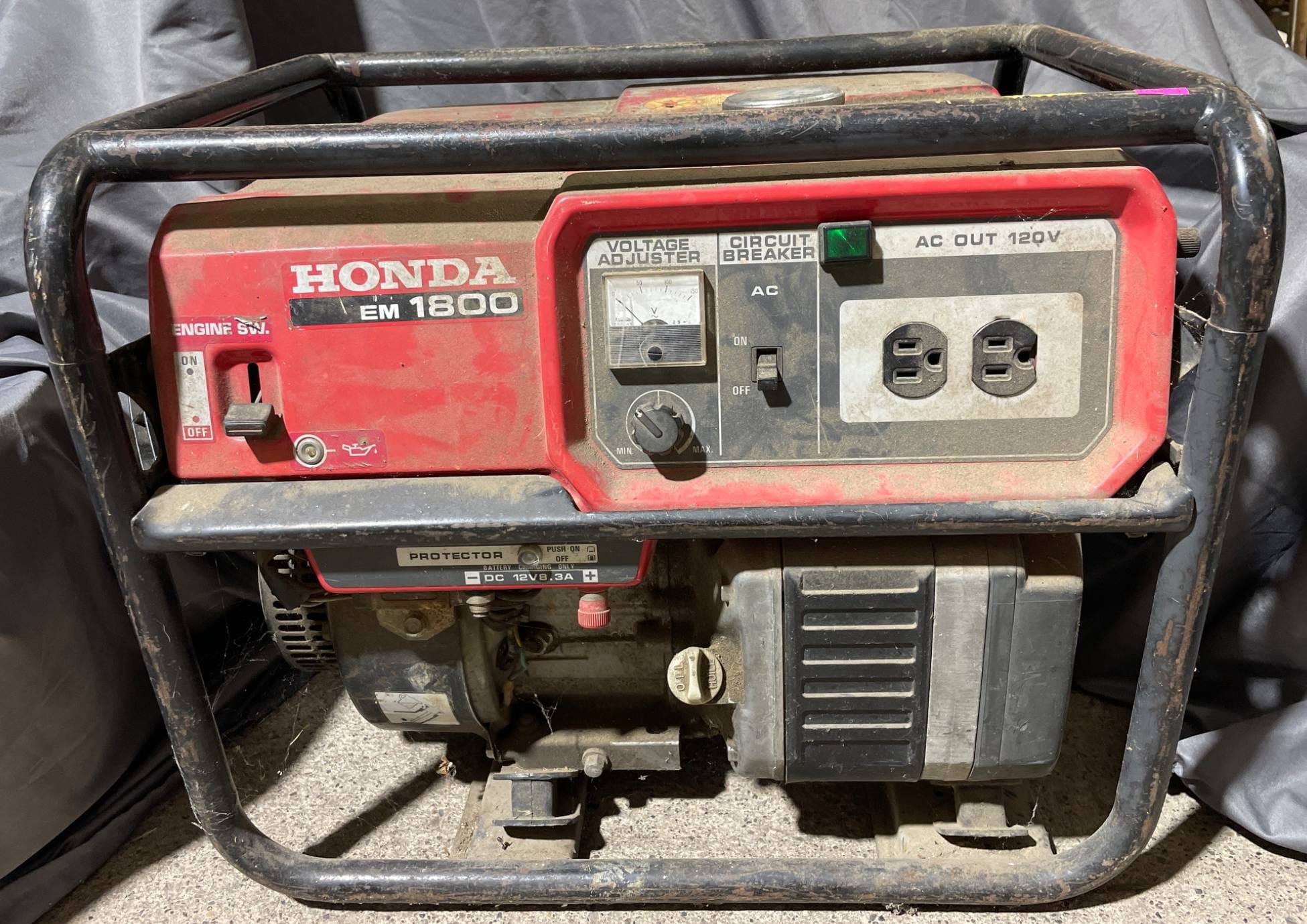 Online Bidding Available!