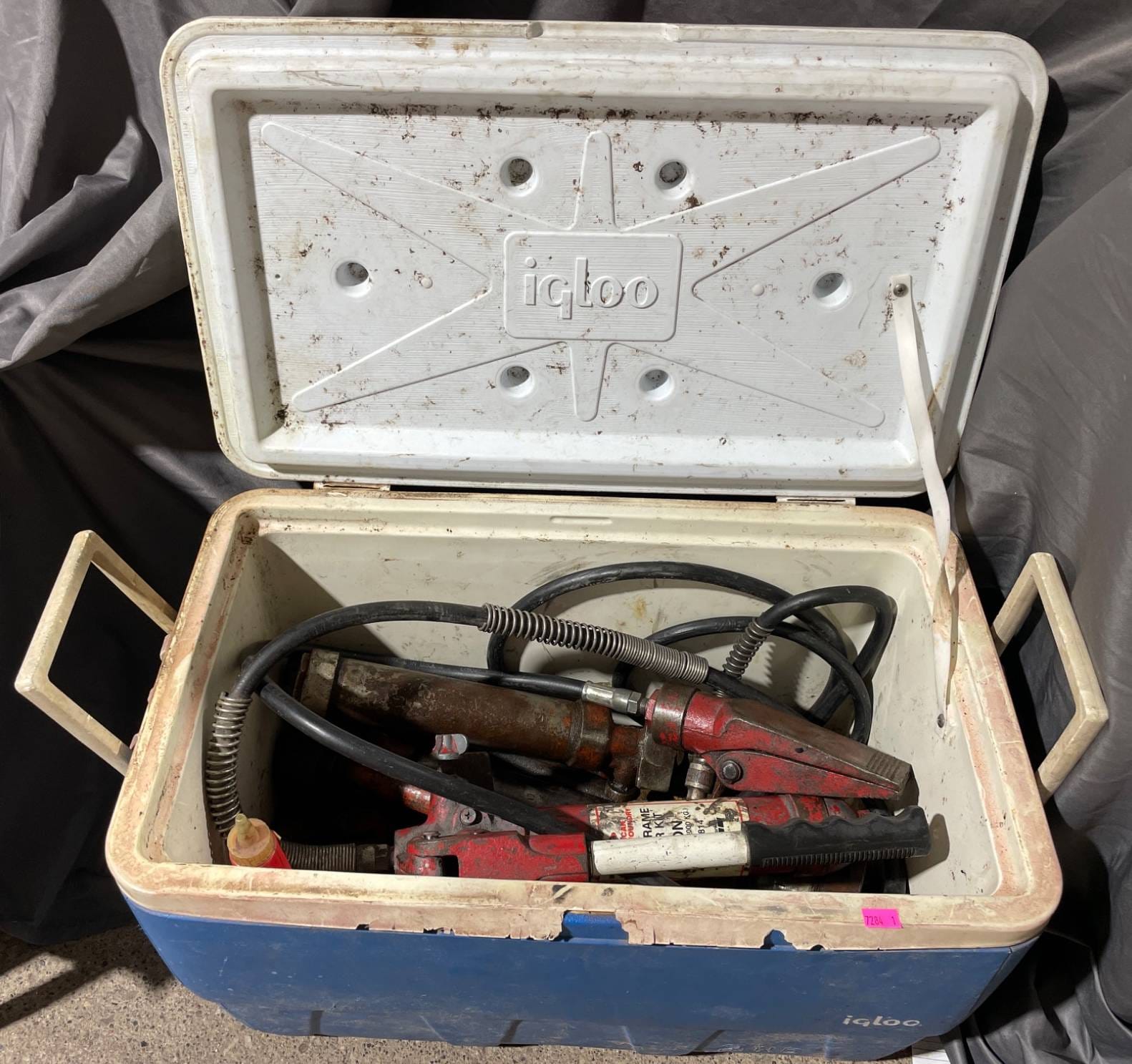 Online Bidding Available!