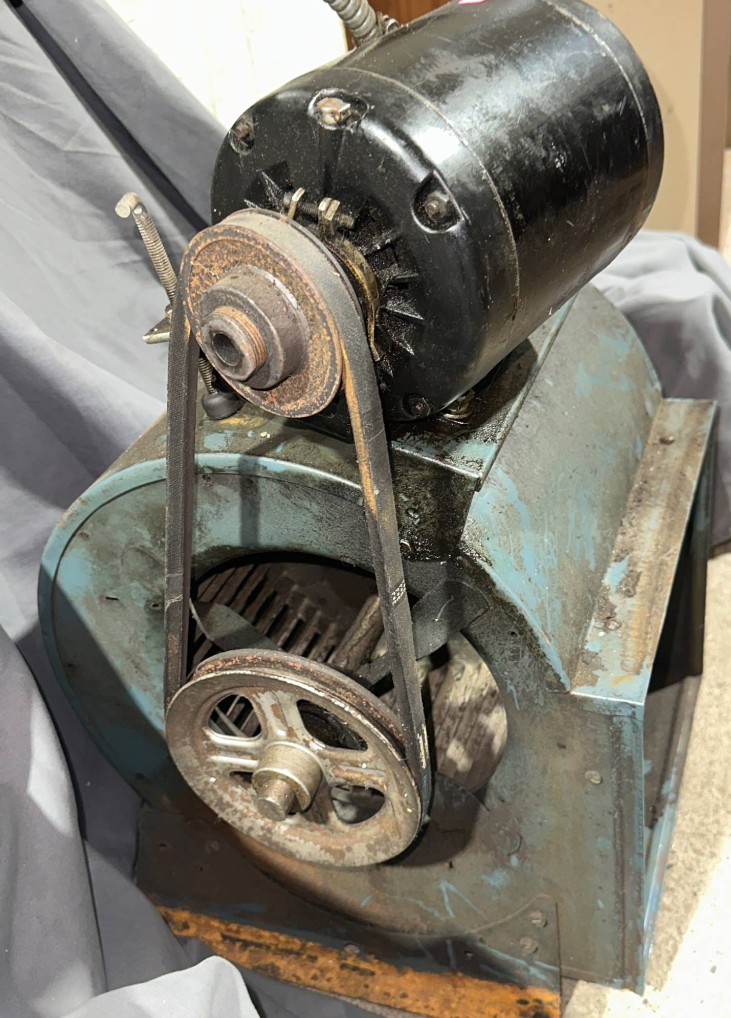 Online Bidding Available!