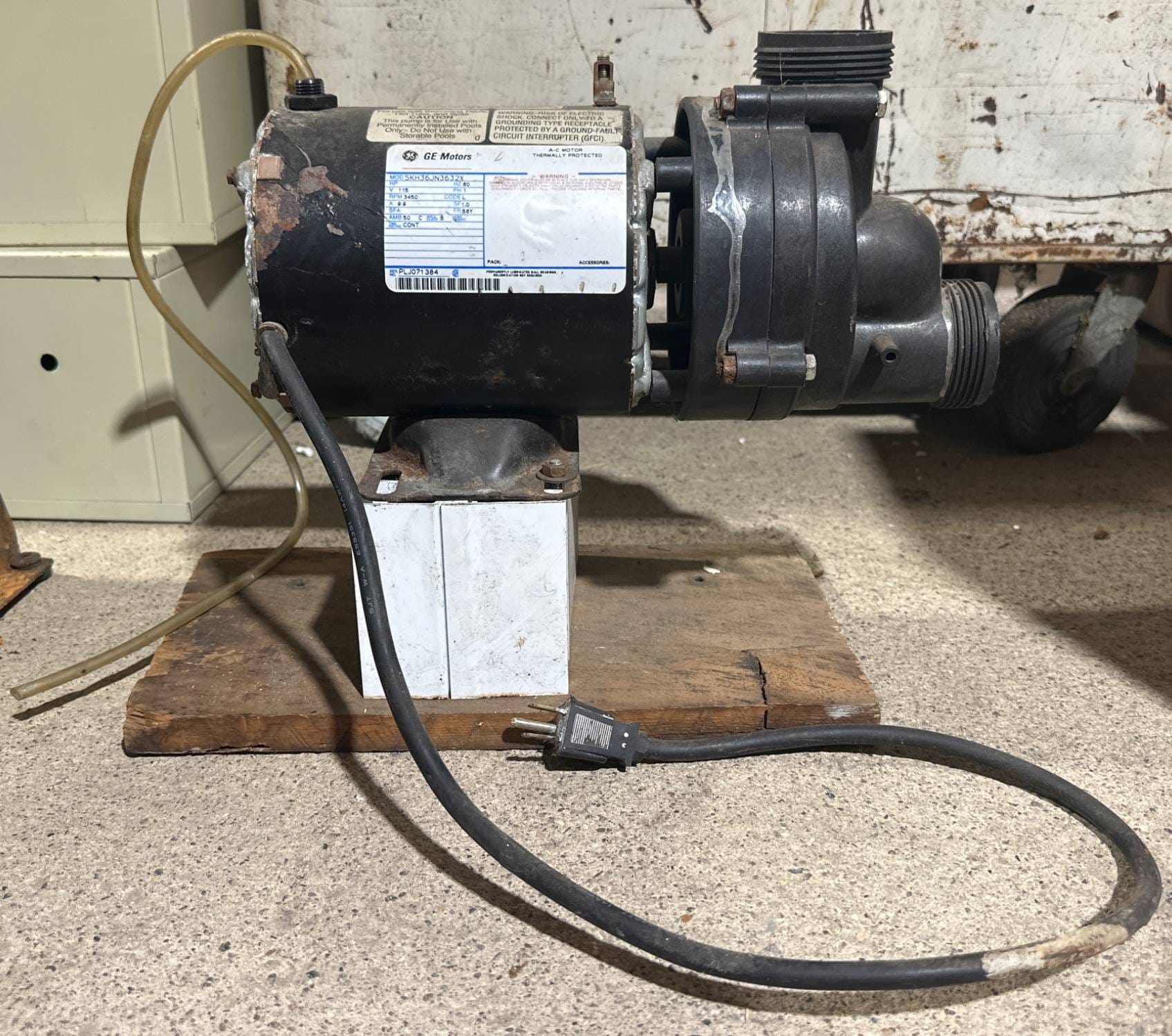 Online Bidding Available!