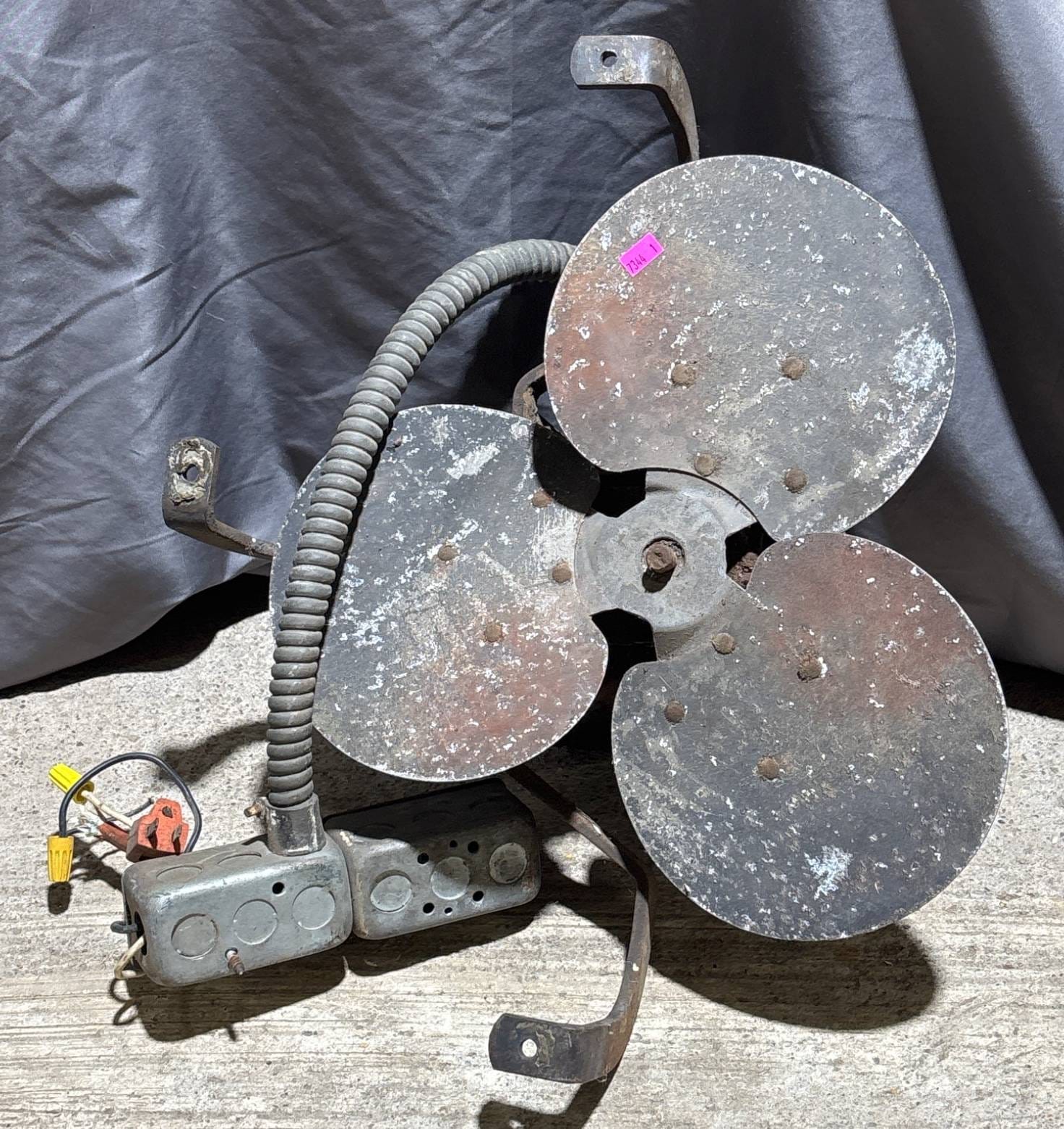 Online Bidding Available!