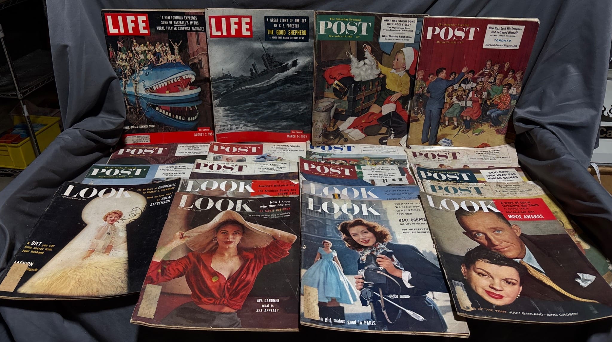 Online Bidding Available!