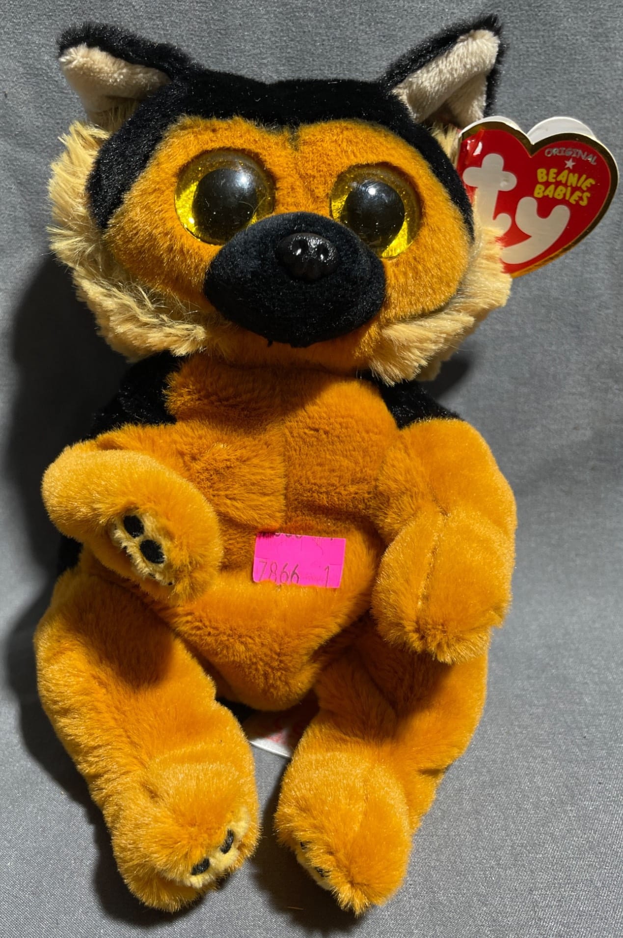 Online Bidding Available!