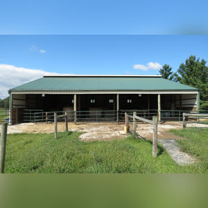 10± acres, home, pole barn, shop building, fenced pastures, and pond. The impressive interior of the home boasts 4 bedrooms and 3 full baths. The master suite is 16â??x16â?? with a large walk-in closet. The master bath has a double sink and a large custom shower. The 22â??x14â?? eat-in kitchen has custom cabinets, granite counter tops, and a brick-front raised fireplace. The large main level also includes the 20â??x14â?? living room with fireplace, 18â??x16â?? family room, 14â??x12â?? office area, mud room, and laundry room. This spacious main level floor plan is ideal for the family as well as entertaining. The full basement is partially finished, and the 2-car attached garage includes a large storage area. Other amenities within the home include a Lennox LP gas forced-air furnace, central air, Pella windows, a newer roof, cathedral ceilings, ceramic tile and wood flooring, ceiling fans, and a Radionon system. The exterior is beautifully landscaped with mature trees, colorful perennials, a small orchard and grape vineyard, a large play area, and a ½ acre stocked pond. The 60â??x50â?? pole barn with walk-in door and 14â??-high end slider includes grooved concrete, maternity pens, custom Gingway gates, a working chute, and 4 individual turn-out pens. There are 6 fenced and cross-fenced pasture areas, each with its own Ritchie waterer. The 34â??x32â?? shop building has a concrete floor, porch, and walk-in and overhead doors.