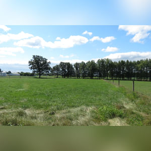 10± acres, home, pole barn, shop building, fenced pastures, and pond. The impressive interior of the home boasts 4 bedrooms and 3 full baths. The master suite is 16â??x16â?? with a large walk-in closet. The master bath has a double sink and a large custom shower. The 22â??x14â?? eat-in kitchen has custom cabinets, granite counter tops, and a brick-front raised fireplace. The large main level also includes the 20â??x14â?? living room with fireplace, 18â??x16â?? family room, 14â??x12â?? office area, mud room, and laundry room. This spacious main level floor plan is ideal for the family as well as entertaining. The full basement is partially finished, and the 2-car attached garage includes a large storage area. Other amenities within the home include a Lennox LP gas forced-air furnace, central air, Pella windows, a newer roof, cathedral ceilings, ceramic tile and wood flooring, ceiling fans, and a Radionon system. The exterior is beautifully landscaped with mature trees, colorful perennials, a small orchard and grape vineyard, a large play area, and a ½ acre stocked pond. The 60â??x50â?? pole barn with walk-in door and 14â??-high end slider includes grooved concrete, maternity pens, custom Gingway gates, a working chute, and 4 individual turn-out pens. There are 6 fenced and cross-fenced pasture areas, each with its own Ritchie waterer. The 34â??x32â?? shop building has a concrete floor, porch, and walk-in and overhead doors.