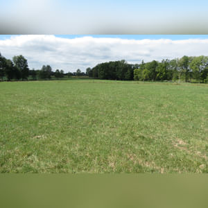 10± acres, home, pole barn, shop building, fenced pastures, and pond. The impressive interior of the home boasts 4 bedrooms and 3 full baths. The master suite is 16â??x16â?? with a large walk-in closet. The master bath has a double sink and a large custom shower. The 22â??x14â?? eat-in kitchen has custom cabinets, granite counter tops, and a brick-front raised fireplace. The large main level also includes the 20â??x14â?? living room with fireplace, 18â??x16â?? family room, 14â??x12â?? office area, mud room, and laundry room. This spacious main level floor plan is ideal for the family as well as entertaining. The full basement is partially finished, and the 2-car attached garage includes a large storage area. Other amenities within the home include a Lennox LP gas forced-air furnace, central air, Pella windows, a newer roof, cathedral ceilings, ceramic tile and wood flooring, ceiling fans, and a Radionon system. The exterior is beautifully landscaped with mature trees, colorful perennials, a small orchard and grape vineyard, a large play area, and a ½ acre stocked pond. The 60â??x50â?? pole barn with walk-in door and 14â??-high end slider includes grooved concrete, maternity pens, custom Gingway gates, a working chute, and 4 individual turn-out pens. There are 6 fenced and cross-fenced pasture areas, each with its own Ritchie waterer. The 34â??x32â?? shop building has a concrete floor, porch, and walk-in and overhead doors.