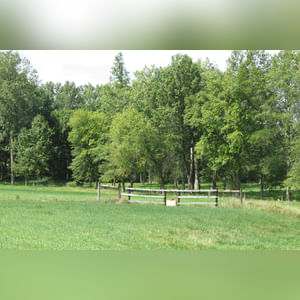 10± acres, home, pole barn, shop building, fenced pastures, and pond. The impressive interior of the home boasts 4 bedrooms and 3 full baths. The master suite is 16â??x16â?? with a large walk-in closet. The master bath has a double sink and a large custom shower. The 22â??x14â?? eat-in kitchen has custom cabinets, granite counter tops, and a brick-front raised fireplace. The large main level also includes the 20â??x14â?? living room with fireplace, 18â??x16â?? family room, 14â??x12â?? office area, mud room, and laundry room. This spacious main level floor plan is ideal for the family as well as entertaining. The full basement is partially finished, and the 2-car attached garage includes a large storage area. Other amenities within the home include a Lennox LP gas forced-air furnace, central air, Pella windows, a newer roof, cathedral ceilings, ceramic tile and wood flooring, ceiling fans, and a Radionon system. The exterior is beautifully landscaped with mature trees, colorful perennials, a small orchard and grape vineyard, a large play area, and a ½ acre stocked pond. The 60â??x50â?? pole barn with walk-in door and 14â??-high end slider includes grooved concrete, maternity pens, custom Gingway gates, a working chute, and 4 individual turn-out pens. There are 6 fenced and cross-fenced pasture areas, each with its own Ritchie waterer. The 34â??x32â?? shop building has a concrete floor, porch, and walk-in and overhead doors.