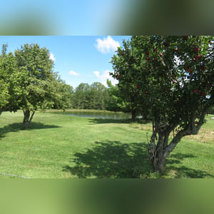 10± acres, home, pole barn, shop building, fenced pastures, and pond. The impressive interior of the home boasts 4 bedrooms and 3 full baths. The master suite is 16â??x16â?? with a large walk-in closet. The master bath has a double sink and a large custom shower. The 22â??x14â?? eat-in kitchen has custom cabinets, granite counter tops, and a brick-front raised fireplace. The large main level also includes the 20â??x14â?? living room with fireplace, 18â??x16â?? family room, 14â??x12â?? office area, mud room, and laundry room. This spacious main level floor plan is ideal for the family as well as entertaining. The full basement is partially finished, and the 2-car attached garage includes a large storage area. Other amenities within the home include a Lennox LP gas forced-air furnace, central air, Pella windows, a newer roof, cathedral ceilings, ceramic tile and wood flooring, ceiling fans, and a Radionon system. The exterior is beautifully landscaped with mature trees, colorful perennials, a small orchard and grape vineyard, a large play area, and a ½ acre stocked pond. The 60â??x50â?? pole barn with walk-in door and 14â??-high end slider includes grooved concrete, maternity pens, custom Gingway gates, a working chute, and 4 individual turn-out pens. There are 6 fenced and cross-fenced pasture areas, each with its own Ritchie waterer. The 34â??x32â?? shop building has a concrete floor, porch, and walk-in and overhead doors.