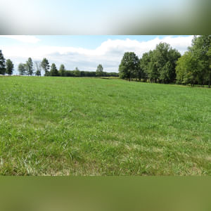 10± acres, home, pole barn, shop building, fenced pastures, and pond. The impressive interior of the home boasts 4 bedrooms and 3 full baths. The master suite is 16â??x16â?? with a large walk-in closet. The master bath has a double sink and a large custom shower. The 22â??x14â?? eat-in kitchen has custom cabinets, granite counter tops, and a brick-front raised fireplace. The large main level also includes the 20â??x14â?? living room with fireplace, 18â??x16â?? family room, 14â??x12â?? office area, mud room, and laundry room. This spacious main level floor plan is ideal for the family as well as entertaining. The full basement is partially finished, and the 2-car attached garage includes a large storage area. Other amenities within the home include a Lennox LP gas forced-air furnace, central air, Pella windows, a newer roof, cathedral ceilings, ceramic tile and wood flooring, ceiling fans, and a Radionon system. The exterior is beautifully landscaped with mature trees, colorful perennials, a small orchard and grape vineyard, a large play area, and a ½ acre stocked pond. The 60â??x50â?? pole barn with walk-in door and 14â??-high end slider includes grooved concrete, maternity pens, custom Gingway gates, a working chute, and 4 individual turn-out pens. There are 6 fenced and cross-fenced pasture areas, each with its own Ritchie waterer. The 34â??x32â?? shop building has a concrete floor, porch, and walk-in and overhead doors.