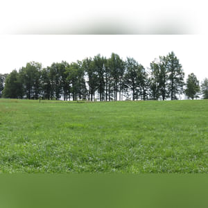 10± acres, home, pole barn, shop building, fenced pastures, and pond. The impressive interior of the home boasts 4 bedrooms and 3 full baths. The master suite is 16â??x16â?? with a large walk-in closet. The master bath has a double sink and a large custom shower. The 22â??x14â?? eat-in kitchen has custom cabinets, granite counter tops, and a brick-front raised fireplace. The large main level also includes the 20â??x14â?? living room with fireplace, 18â??x16â?? family room, 14â??x12â?? office area, mud room, and laundry room. This spacious main level floor plan is ideal for the family as well as entertaining. The full basement is partially finished, and the 2-car attached garage includes a large storage area. Other amenities within the home include a Lennox LP gas forced-air furnace, central air, Pella windows, a newer roof, cathedral ceilings, ceramic tile and wood flooring, ceiling fans, and a Radionon system. The exterior is beautifully landscaped with mature trees, colorful perennials, a small orchard and grape vineyard, a large play area, and a ½ acre stocked pond. The 60â??x50â?? pole barn with walk-in door and 14â??-high end slider includes grooved concrete, maternity pens, custom Gingway gates, a working chute, and 4 individual turn-out pens. There are 6 fenced and cross-fenced pasture areas, each with its own Ritchie waterer. The 34â??x32â?? shop building has a concrete floor, porch, and walk-in and overhead doors.