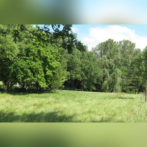 10± acres, home, pole barn, shop building, fenced pastures, and pond. The impressive interior of the home boasts 4 bedrooms and 3 full baths. The master suite is 16â??x16â?? with a large walk-in closet. The master bath has a double sink and a large custom shower. The 22â??x14â?? eat-in kitchen has custom cabinets, granite counter tops, and a brick-front raised fireplace. The large main level also includes the 20â??x14â?? living room with fireplace, 18â??x16â?? family room, 14â??x12â?? office area, mud room, and laundry room. This spacious main level floor plan is ideal for the family as well as entertaining. The full basement is partially finished, and the 2-car attached garage includes a large storage area. Other amenities within the home include a Lennox LP gas forced-air furnace, central air, Pella windows, a newer roof, cathedral ceilings, ceramic tile and wood flooring, ceiling fans, and a Radionon system. The exterior is beautifully landscaped with mature trees, colorful perennials, a small orchard and grape vineyard, a large play area, and a ½ acre stocked pond. The 60â??x50â?? pole barn with walk-in door and 14â??-high end slider includes grooved concrete, maternity pens, custom Gingway gates, a working chute, and 4 individual turn-out pens. There are 6 fenced and cross-fenced pasture areas, each with its own Ritchie waterer. The 34â??x32â?? shop building has a concrete floor, porch, and walk-in and overhead doors.