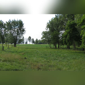 10± acres, home, pole barn, shop building, fenced pastures, and pond. The impressive interior of the home boasts 4 bedrooms and 3 full baths. The master suite is 16â??x16â?? with a large walk-in closet. The master bath has a double sink and a large custom shower. The 22â??x14â?? eat-in kitchen has custom cabinets, granite counter tops, and a brick-front raised fireplace. The large main level also includes the 20â??x14â?? living room with fireplace, 18â??x16â?? family room, 14â??x12â?? office area, mud room, and laundry room. This spacious main level floor plan is ideal for the family as well as entertaining. The full basement is partially finished, and the 2-car attached garage includes a large storage area. Other amenities within the home include a Lennox LP gas forced-air furnace, central air, Pella windows, a newer roof, cathedral ceilings, ceramic tile and wood flooring, ceiling fans, and a Radionon system. The exterior is beautifully landscaped with mature trees, colorful perennials, a small orchard and grape vineyard, a large play area, and a ½ acre stocked pond. The 60â??x50â?? pole barn with walk-in door and 14â??-high end slider includes grooved concrete, maternity pens, custom Gingway gates, a working chute, and 4 individual turn-out pens. There are 6 fenced and cross-fenced pasture areas, each with its own Ritchie waterer. The 34â??x32â?? shop building has a concrete floor, porch, and walk-in and overhead doors.